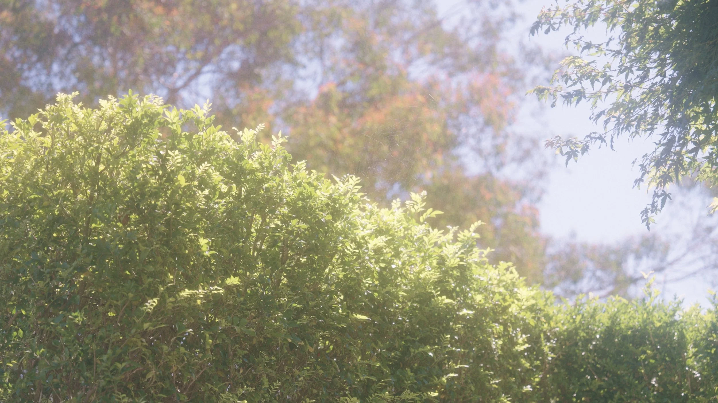 landing page still_2.1.1.jpg