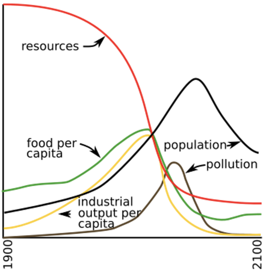 Is Infinite Economic Growth Even Possible in a Finite Planet?