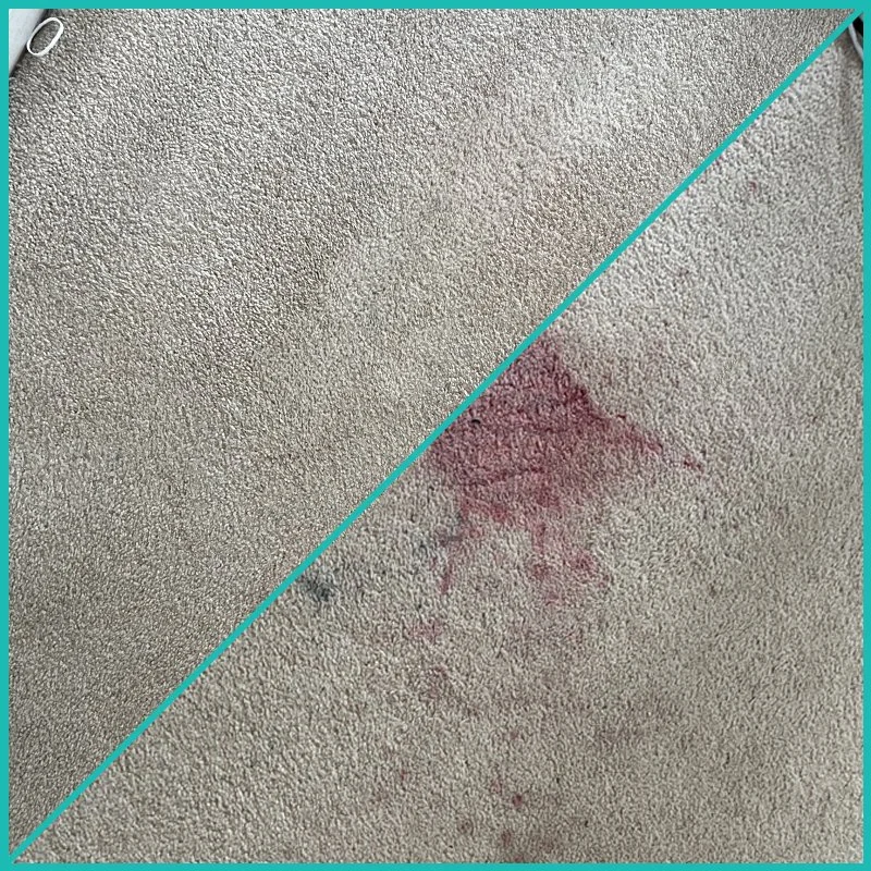 Wine stain carpet before-after.jpg