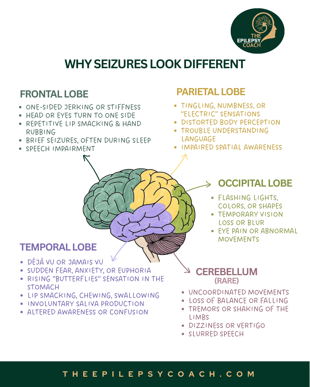 Seizures look different because they don't all originate from the same part of the brain.