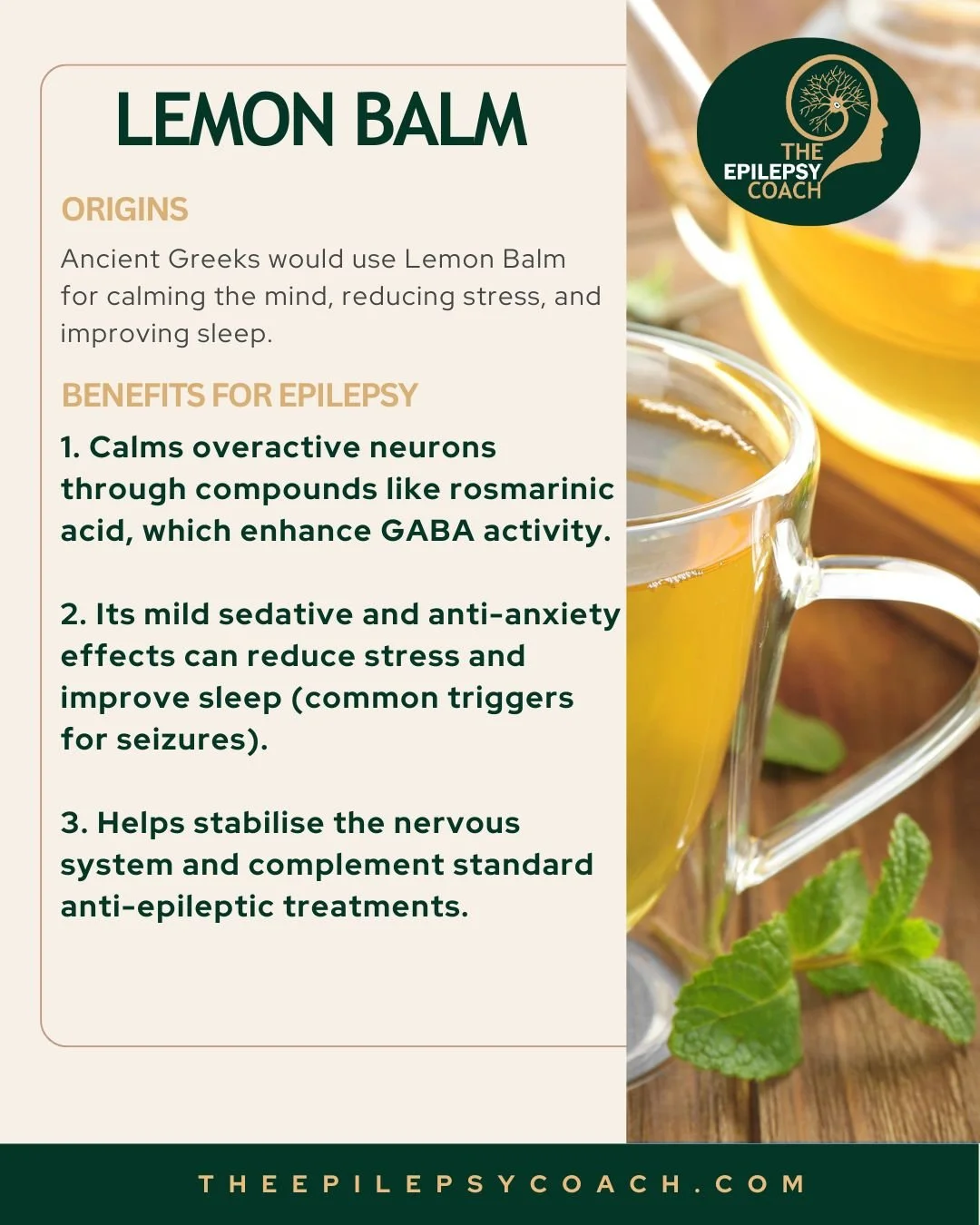 Tea N.O 3 - Lemon Balm for Epilepsy