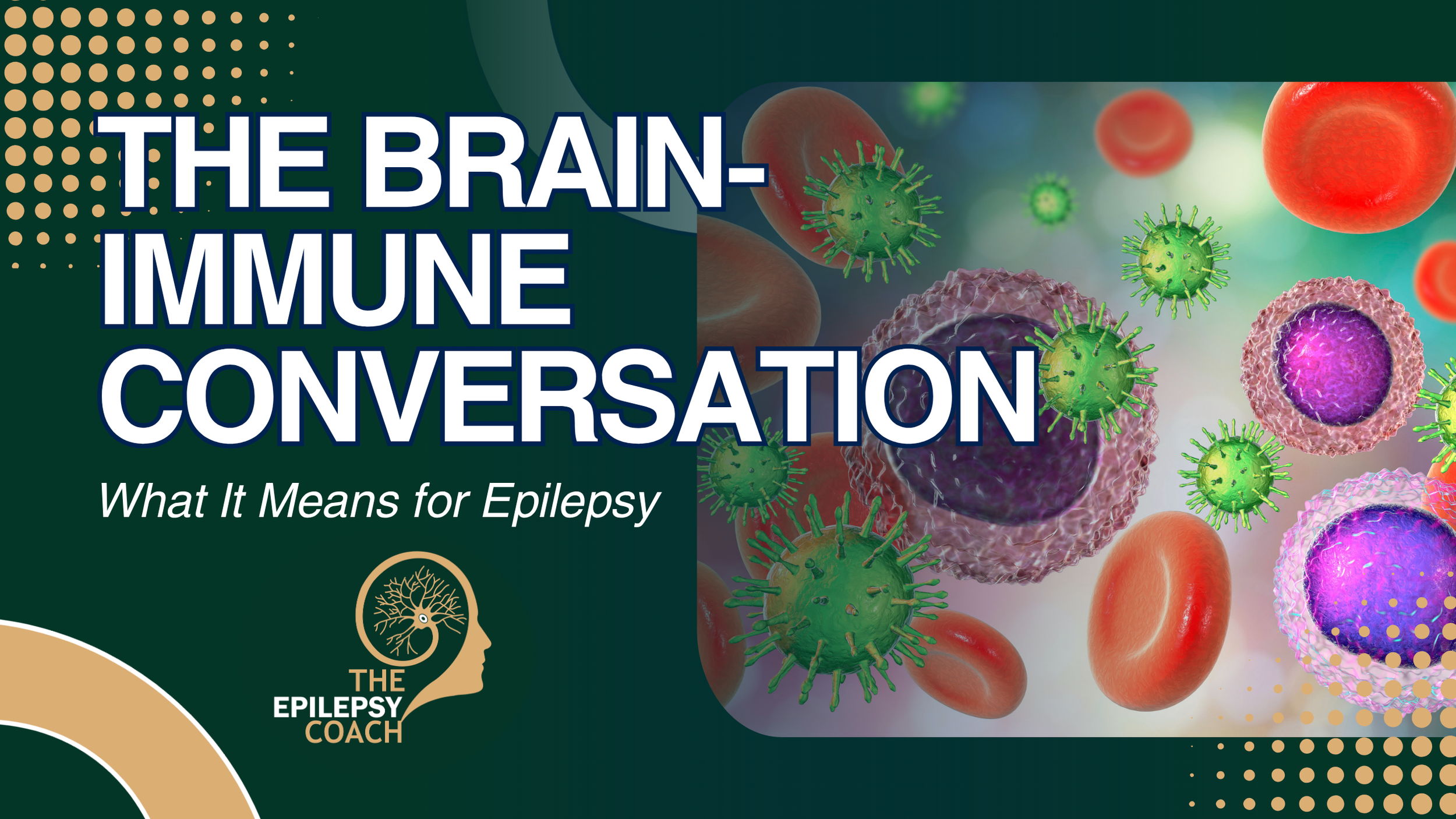 The Brain-Immune Conversation: What It Means for Epilepsy
