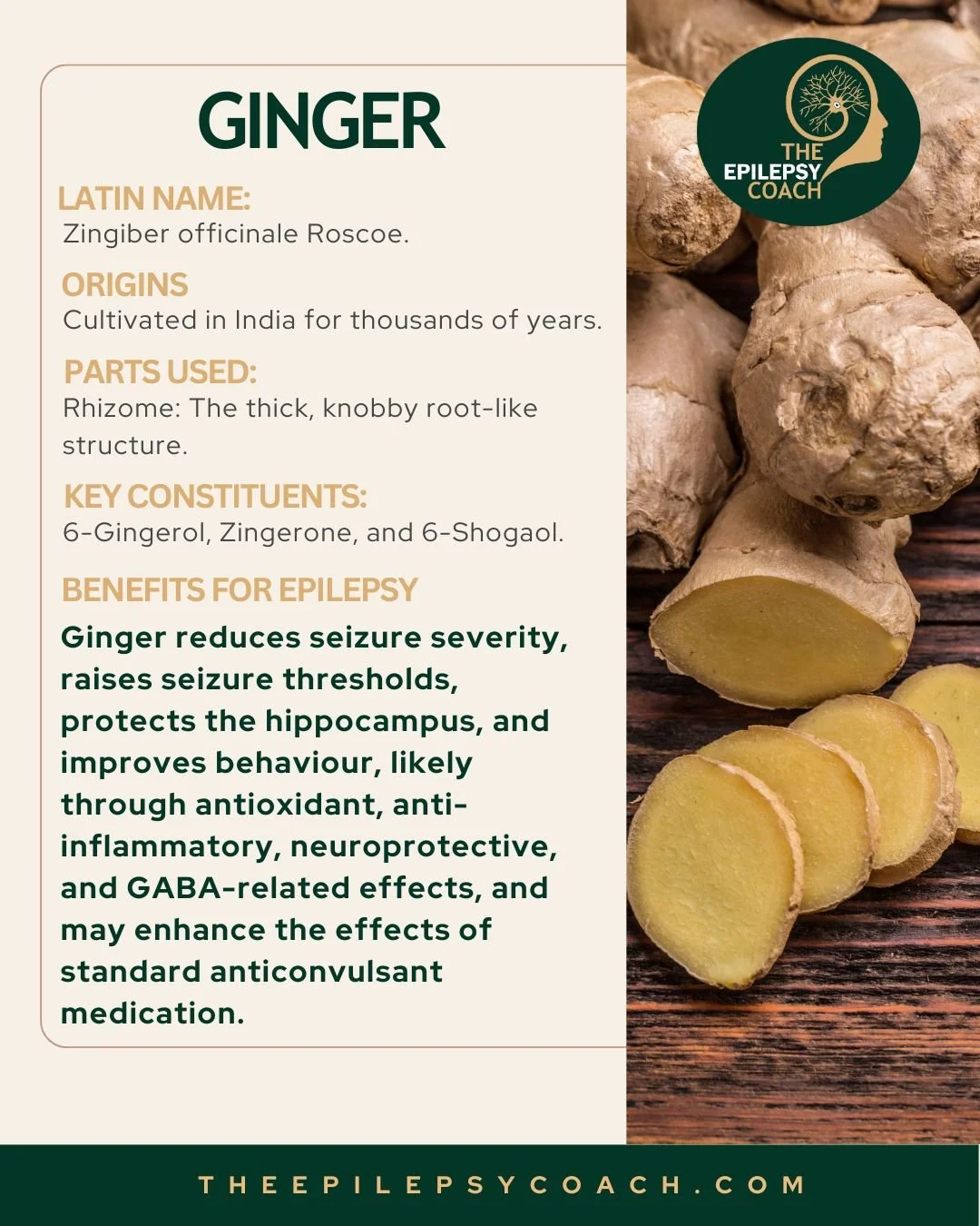 The link between Ginger and Epilepsy