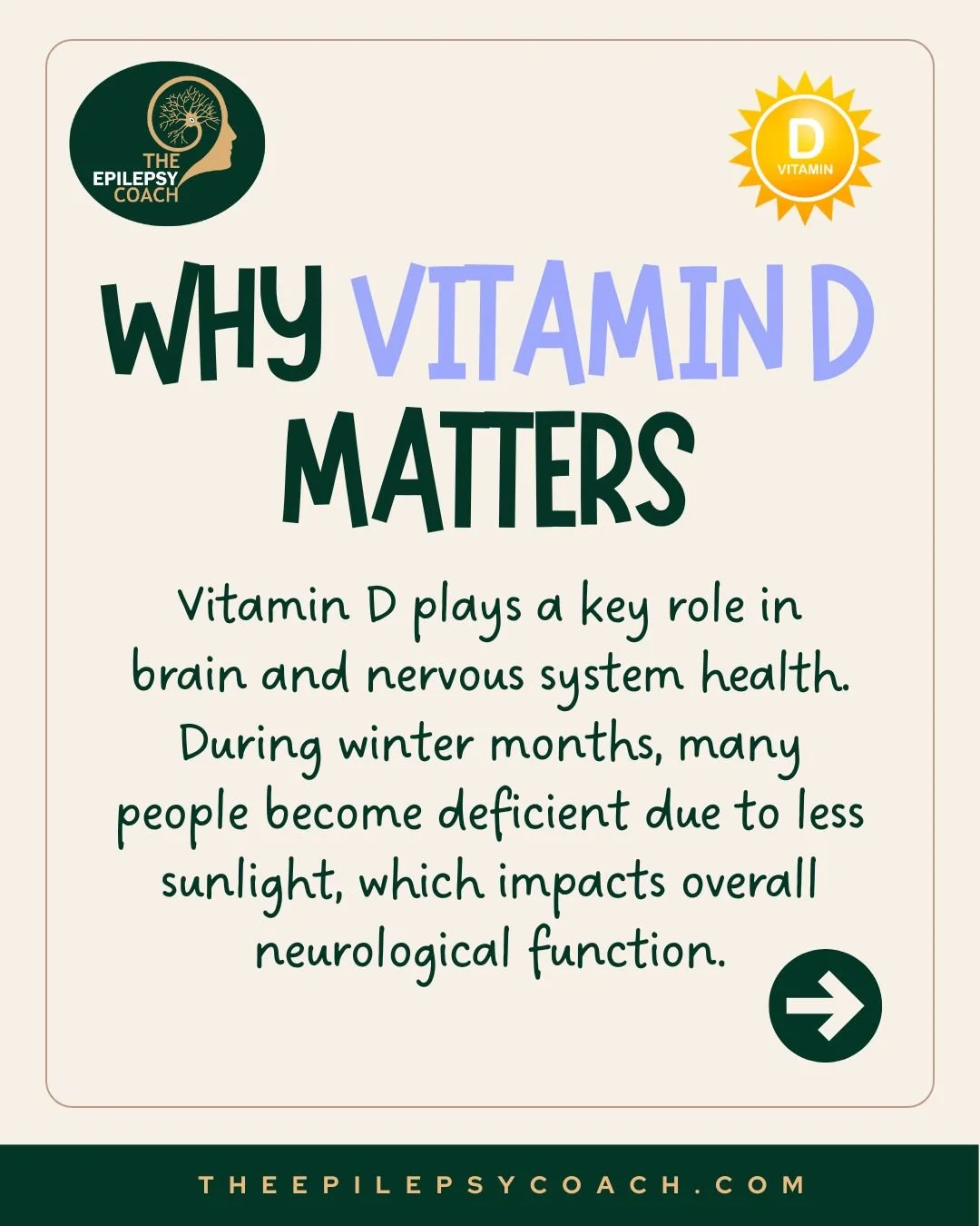 Winter, Epilepsy, and Vitamin D