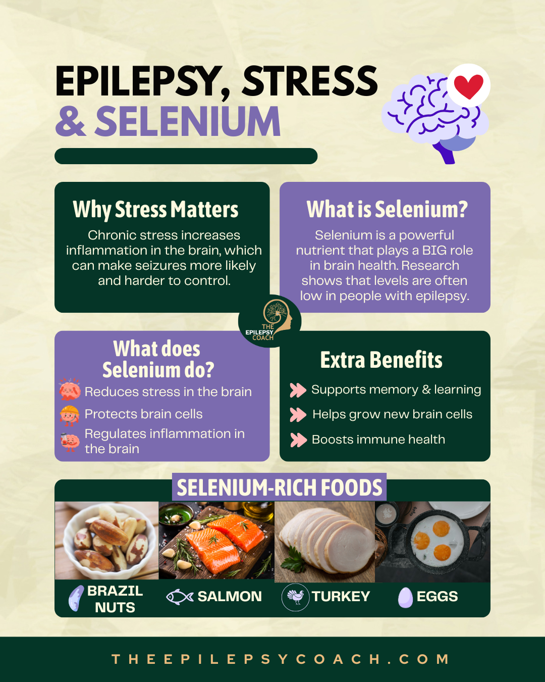 Epilepsy, Stress, & Selenium ~ The Connected Triangle