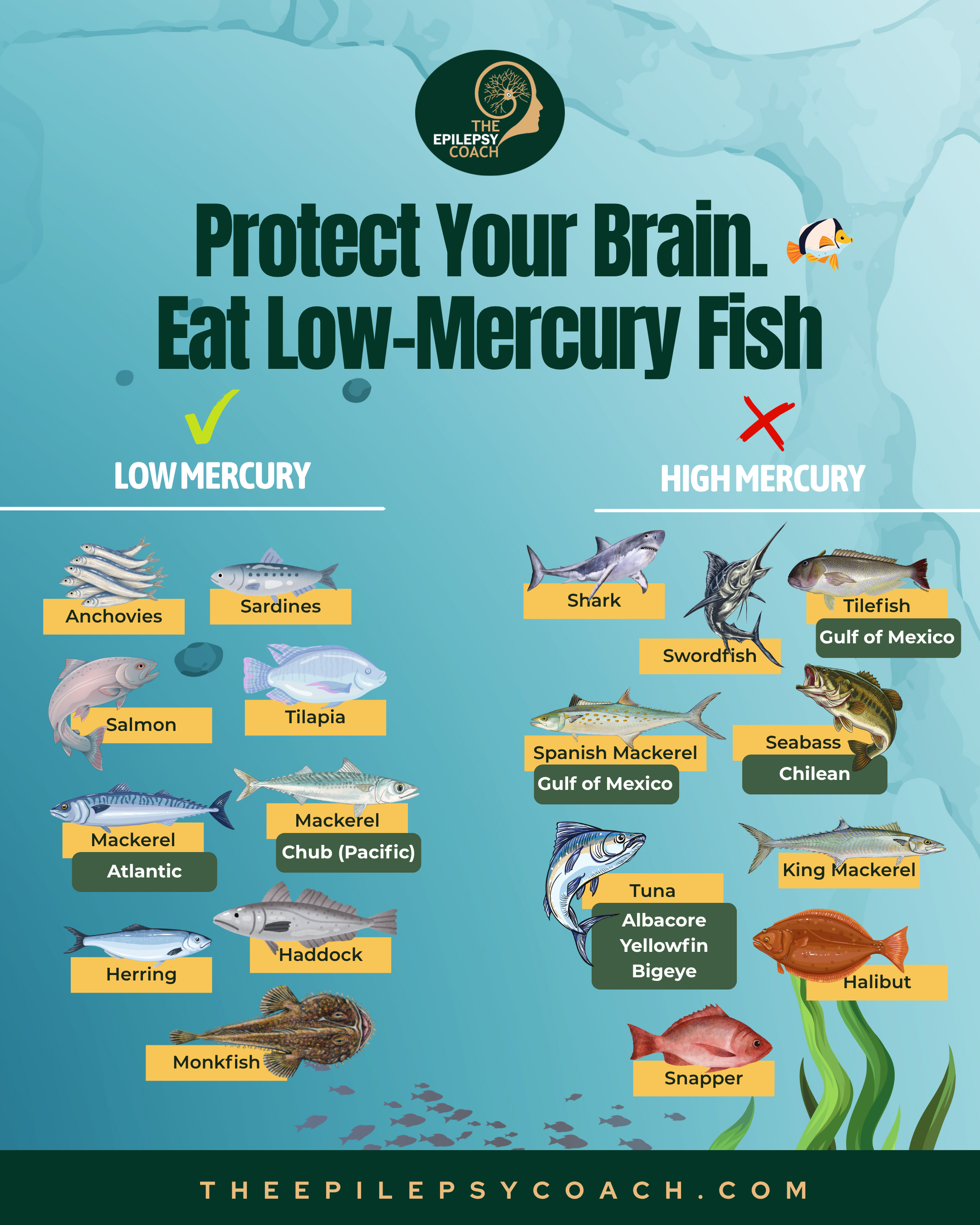 Low Mercury Fish For Brain Health