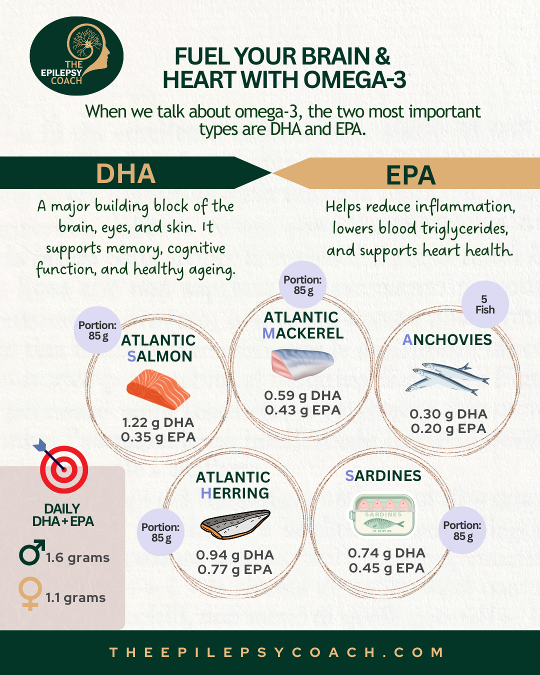 Omega-3 & Epilepsy