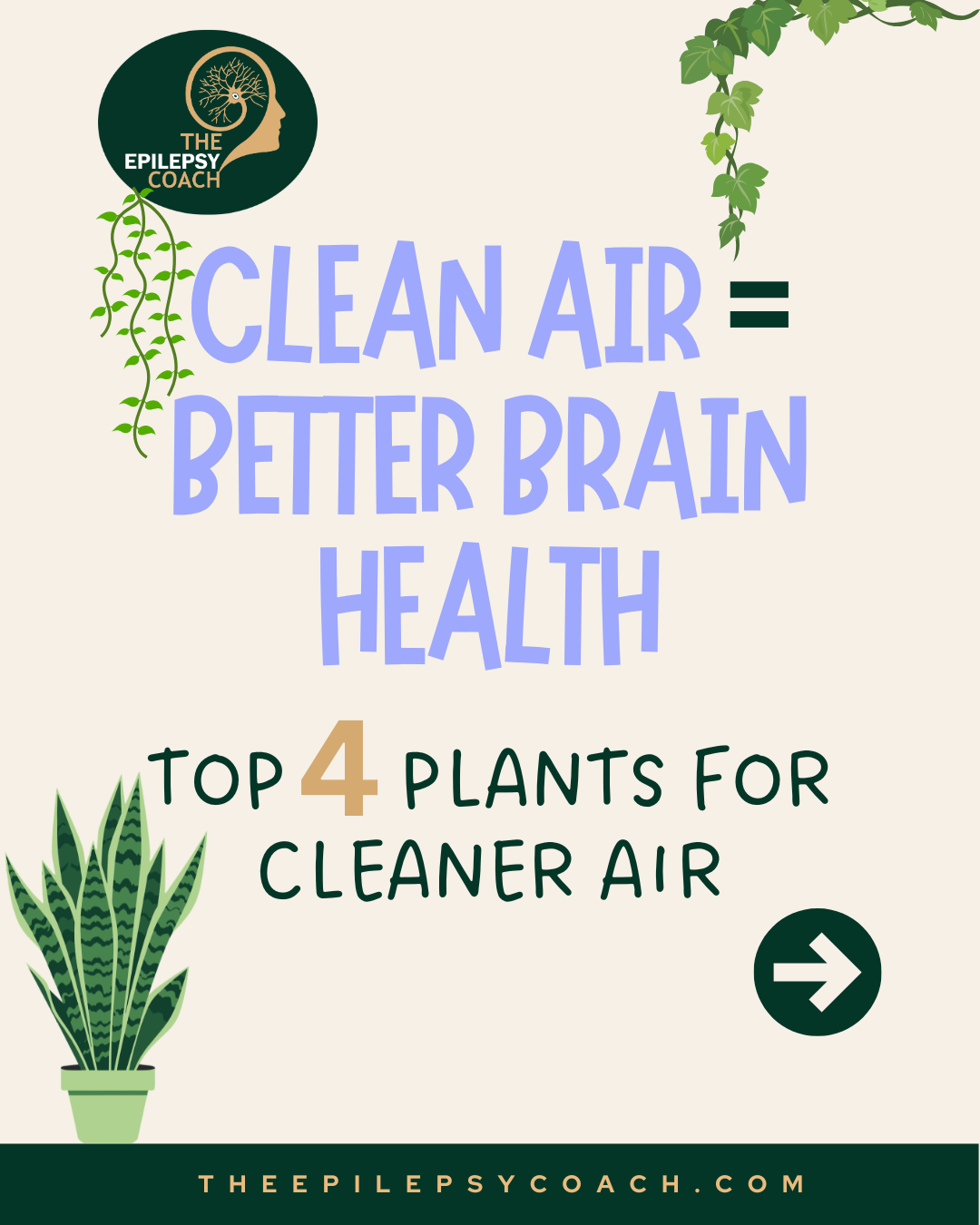 Research shows that air pollution negatively impacts brain health, and for people with Epilepsy, clean air may help support seizure control. While you can’t control every environment, improving indoor air quality is possible. Discover how air-purifyi
