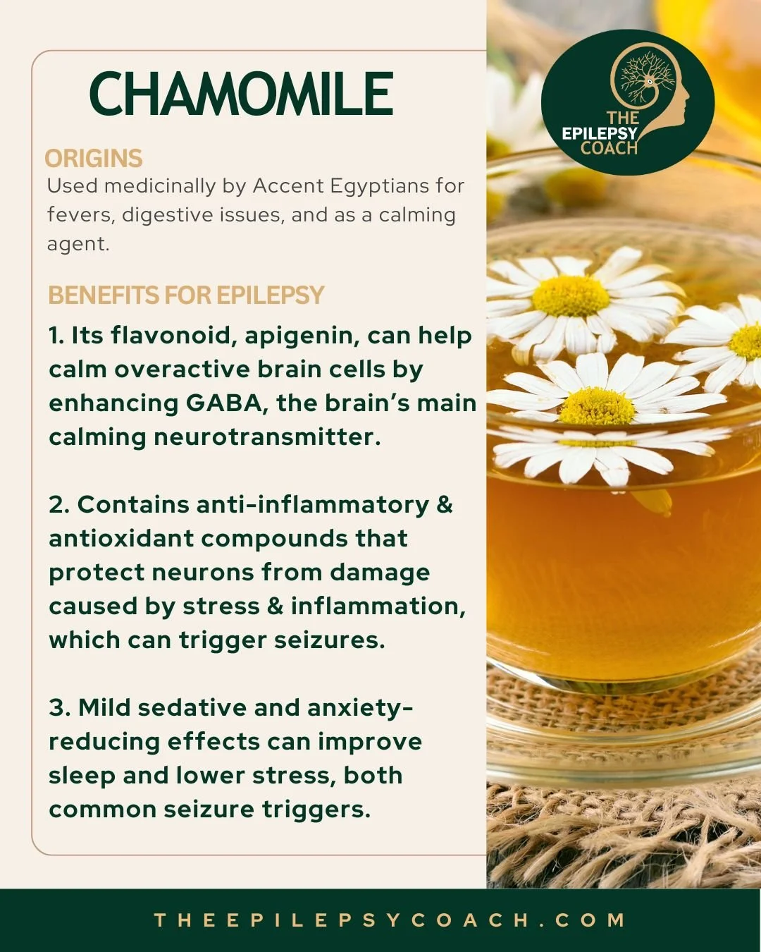 Tea N.O 1 - Chamomile for Epilepsy