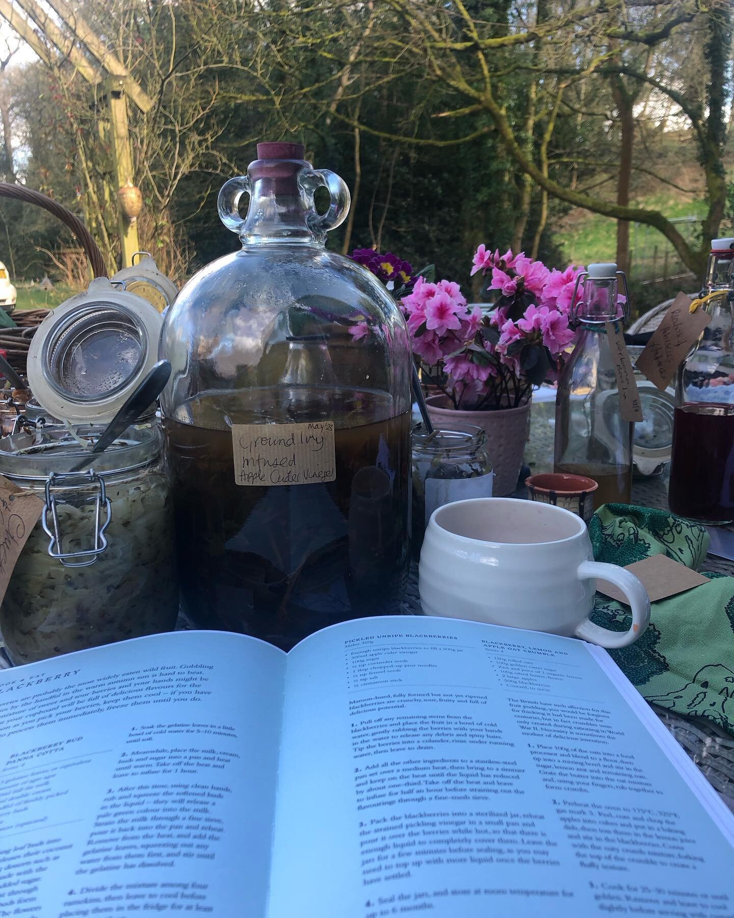 12 Women gathered for our Rewild and Forage Retreat- Thankfully under big blue skies and sunshine so we could get out into the wild edges of our garden and meet new wild medicine 

After our Open Circle sitting with new and people that have been on t