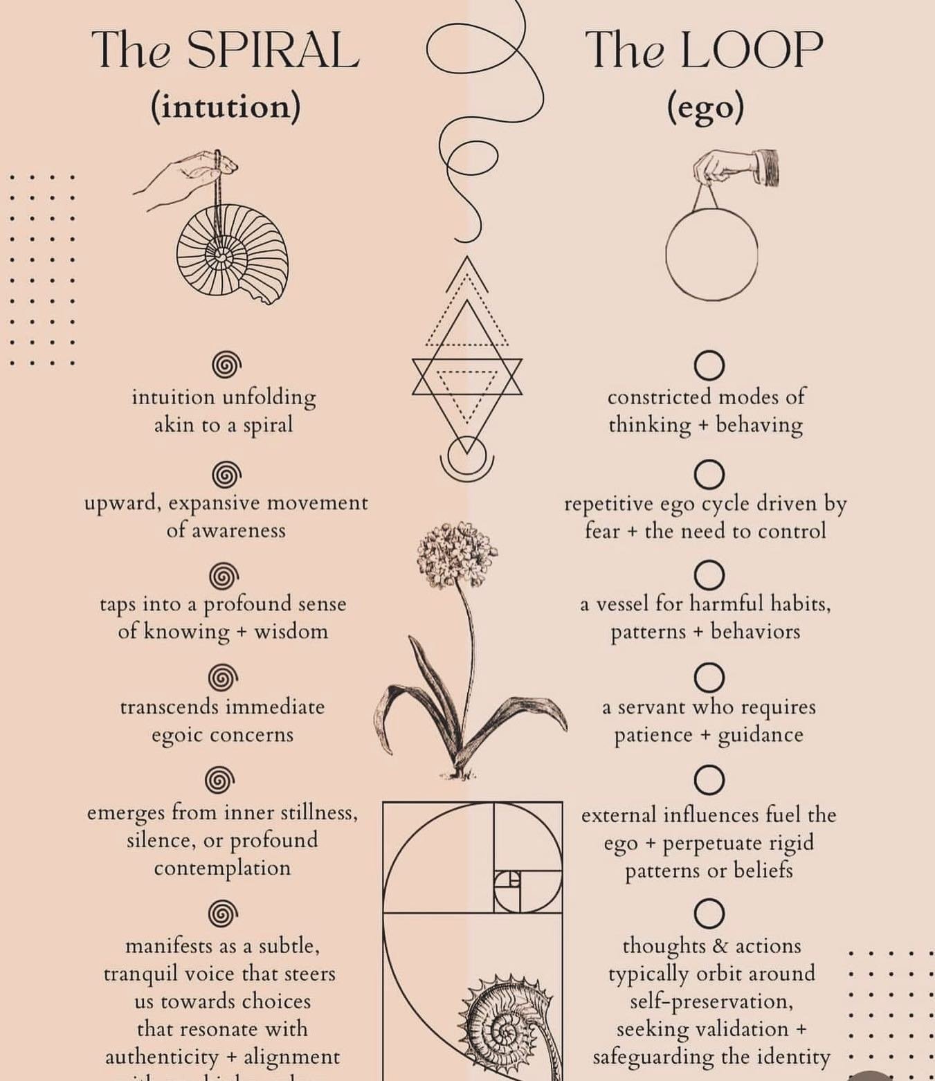 Which one do you follow and align with the spiral 🌀 or the loop 🔁 

Looping or spiralling 🌀 be mindful 💕🙏

Nature forms spirals naturally the spiral 🌀 is esoteric and omnipresent everywhere in nature even in our 🧬 DNA 

Do you love spirals lik
