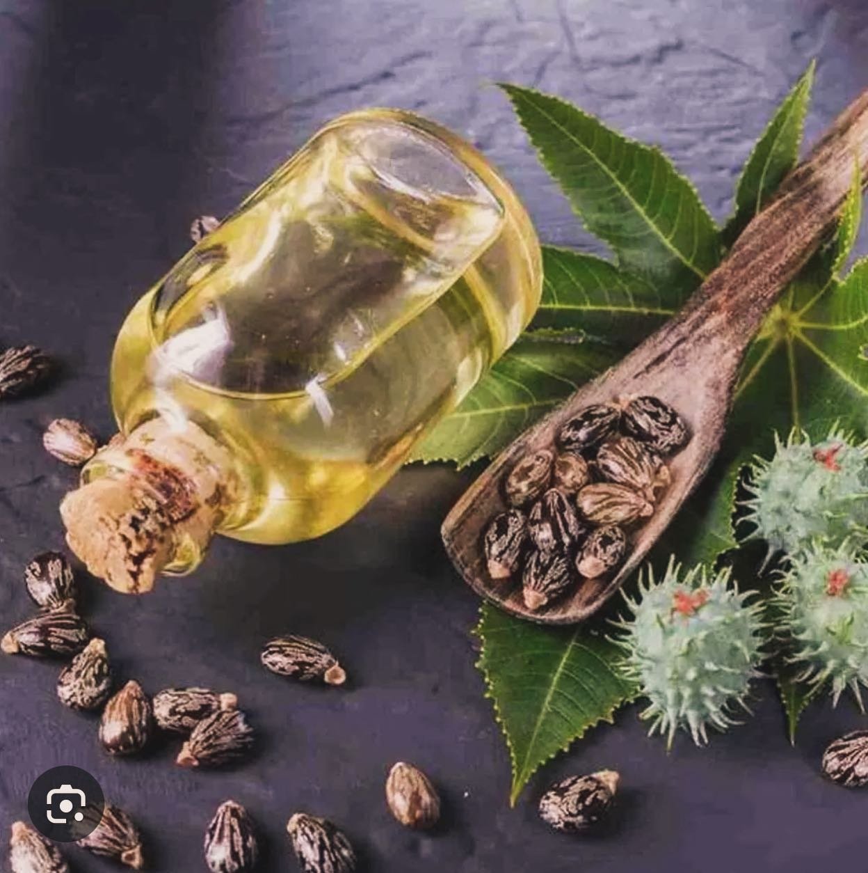The Oil Cleansing Method 🌸🌿

Our favourite way to cleanse is with oils and especially the Castor oil - Palm ✋ of Christ or&rsquo; Palms Christi&rsquo; this has a multitude of healing benefits and a natural affinity with the yin waters of our lymph 