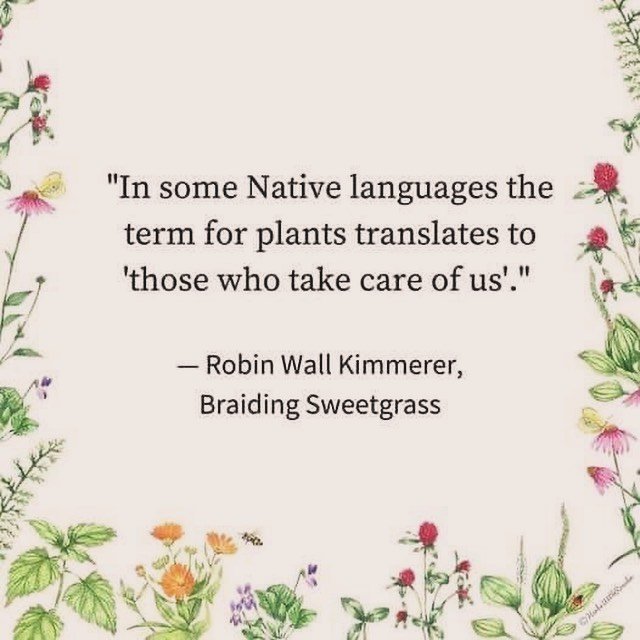 Botanical Constellations in the earth ruled by the stars 

Plants That Take Care &amp; Nurture Us Through The Seasons 

Our Beltane Spiral 🌀 working with Tree Wisdom , Beltane Flower Alchemia and Medicine for the Celtic May Day Arrival of Summer 

L