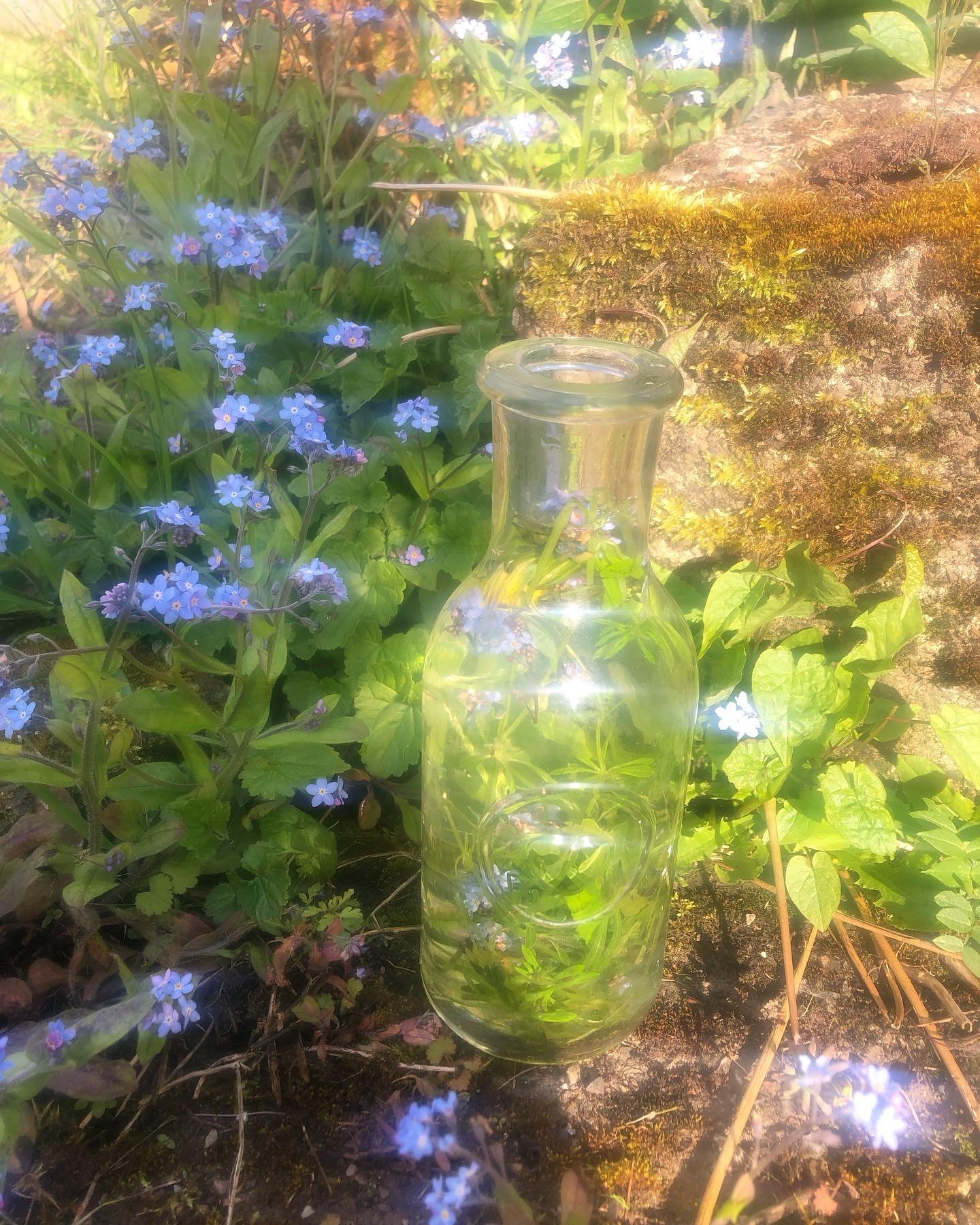 Beauty Medicine 💚🌸🌱

As the days build towards the next turn of the seasonal wheel of Beltane - May Day it is said the dew is even more potent and magical as the sun activates its alchemical healing waters 

On this Venus day take a few moments to