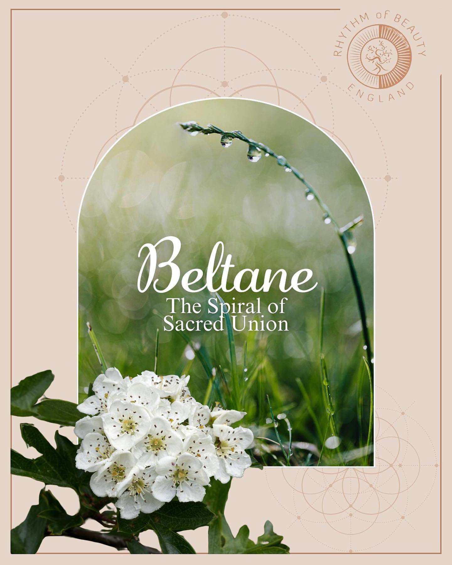 Today is the celestial day of Beltane just before the Taurus New Moon 🌙🌱💕🦋

5:5  The Gateway un the seasonal wheel that opens to summer days and the earth stirs with the abundance of blooms and blossoms 

It is the time of sacred union of celebra