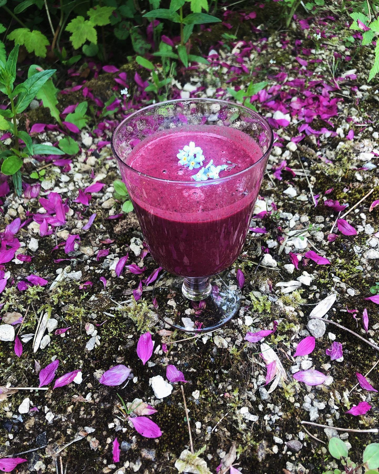 Venus Day 🌹

For the love of Pinks 💕💕💕 A cleansing blood and lymph tonic for an energy boost after a hot yoga 🧘&zwj;♀️ 🙏 @alignbodyandmind for the attune and attain session 

A good reminder to look at what we are focusing on attuning or attain