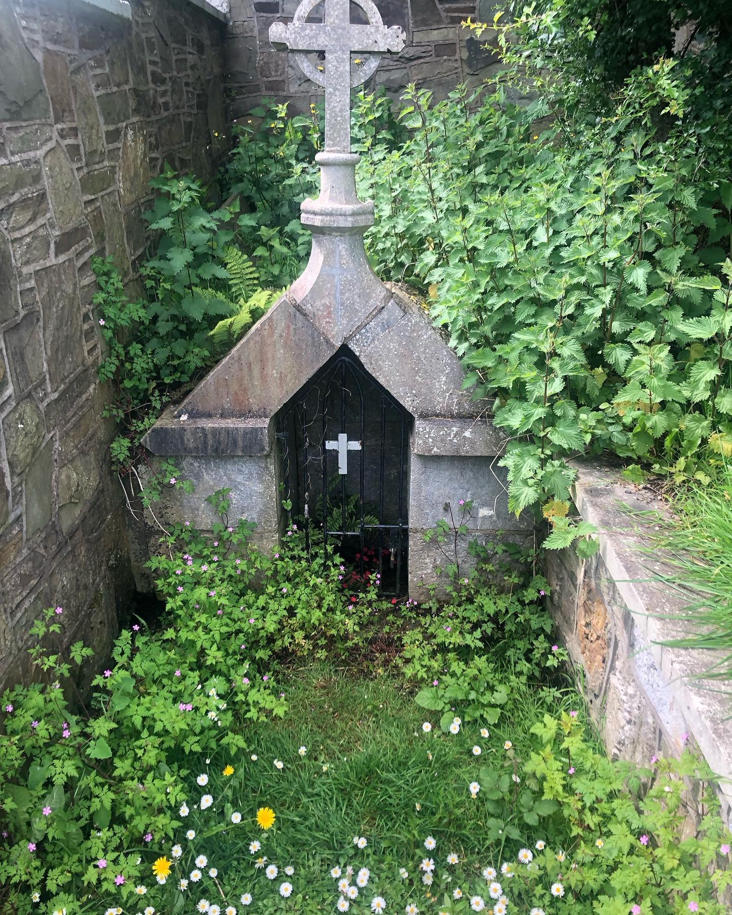 A pretty ancient holy well in cork Ireland 🌿

One of the 3,000 wells scattered and honoured for the sacred springs guarded by hawthorns the fairy 🧚&zwj;♂️ tree

Well of St Coran ☘️ known as the forgotten Saint 

#sacredwells 
#springwater 
#corkire