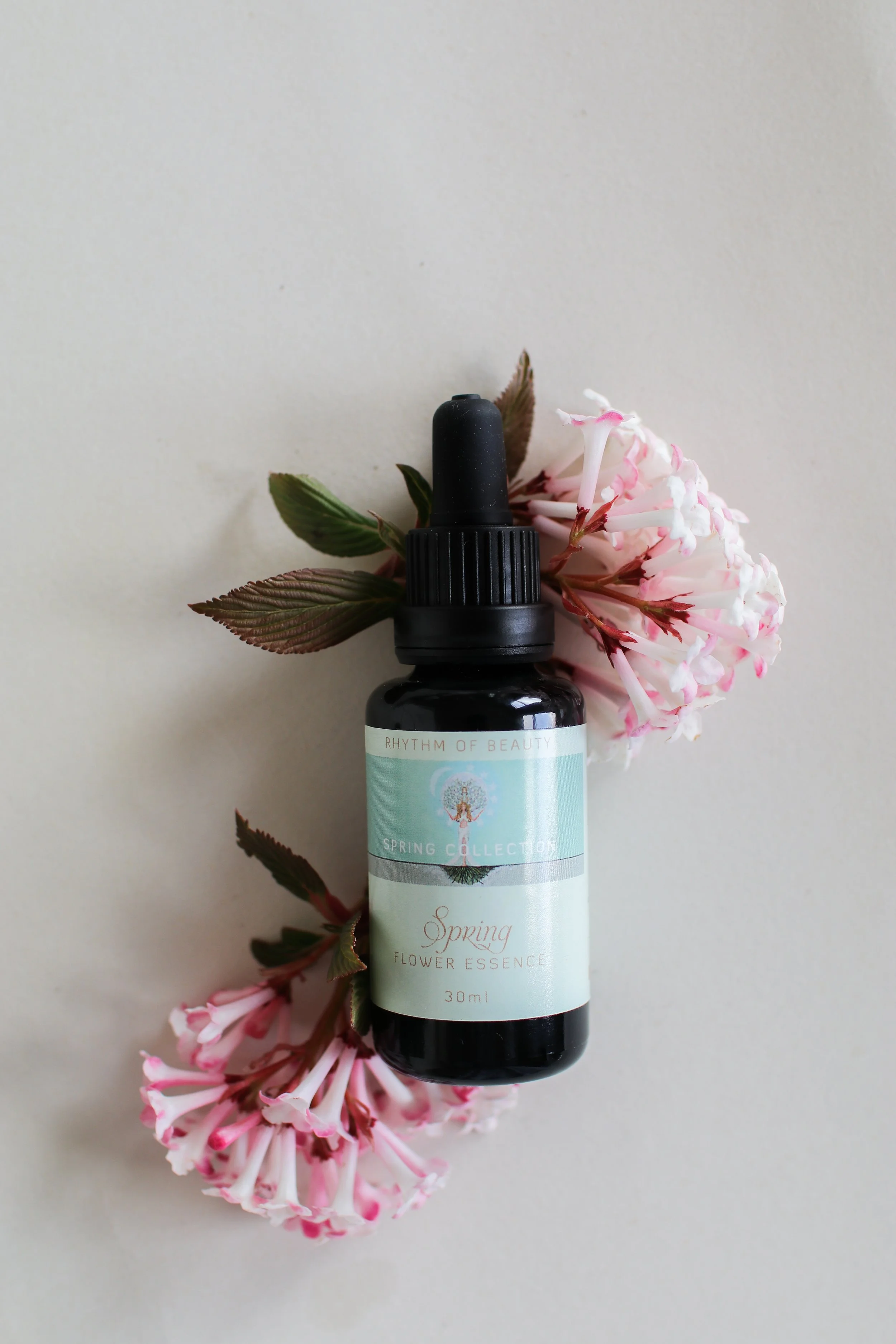 spring flower essence .jpg