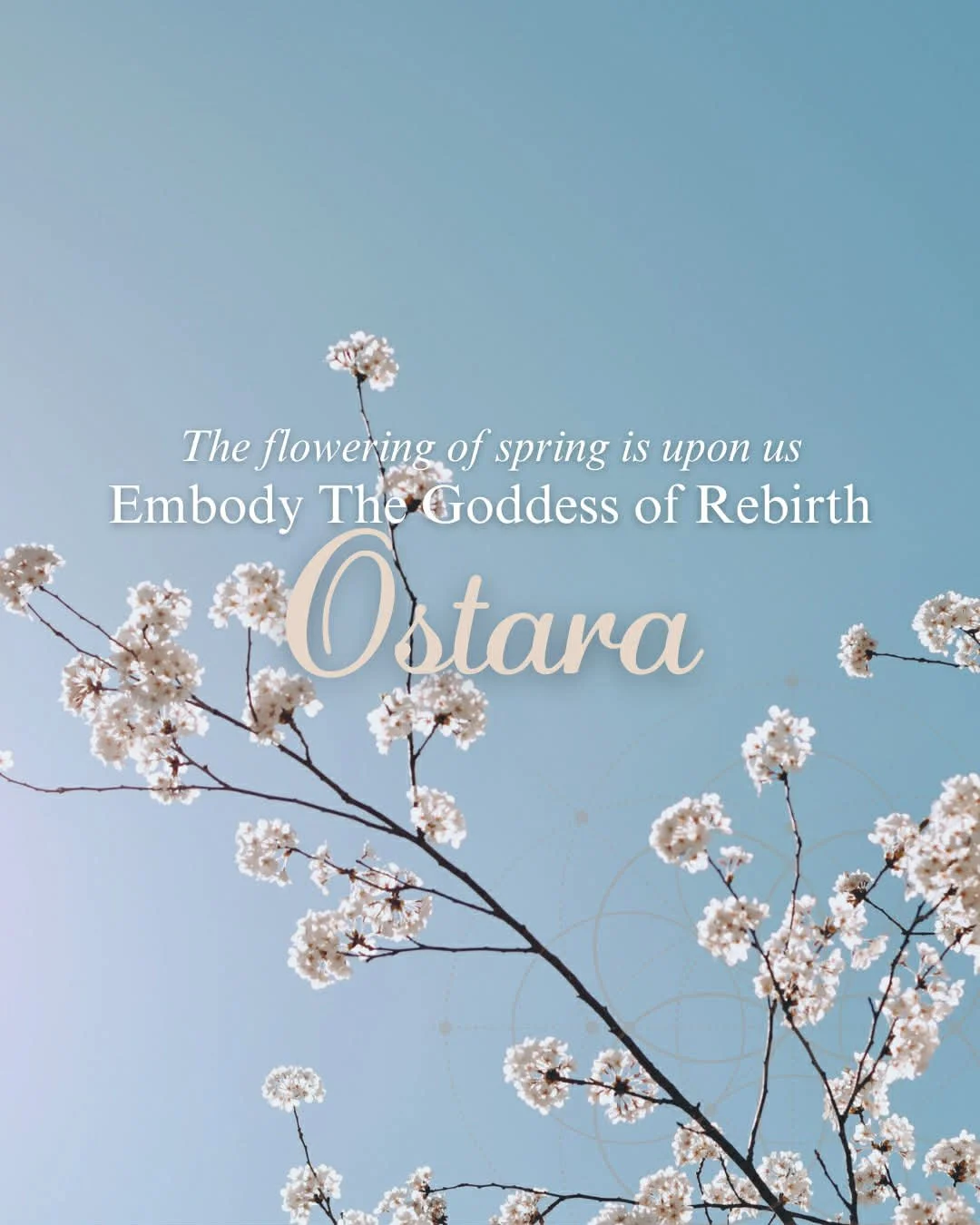ostara cover 2.jpg