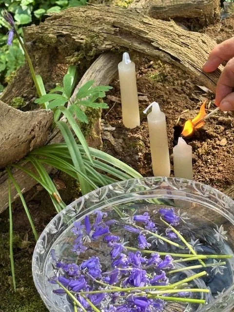 Bluebell Flower Essence