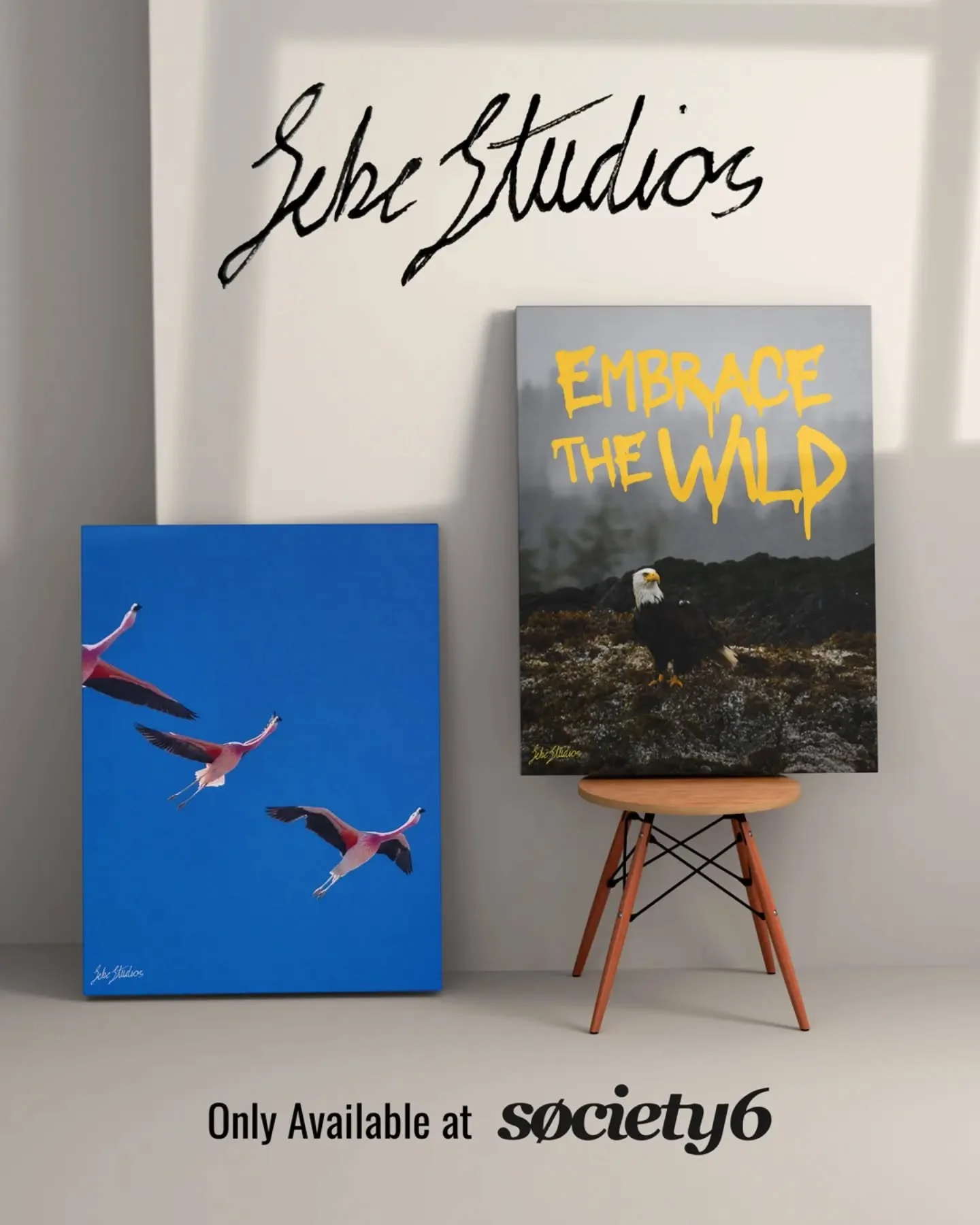 I've always had a passion for photography. Capturing everything from nature and architecture to portraits and the abstract. People have always encouraged me to share my work, so here it is: Signature by Sebe Studios.

Check out my latest collection a