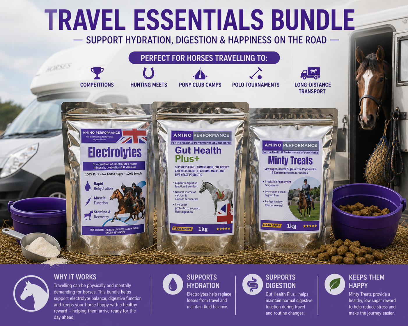 Travel Essentials Bundle for Horses