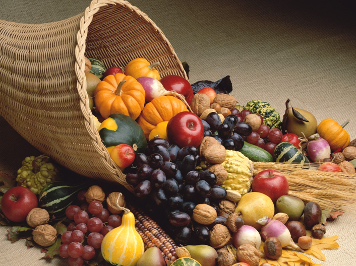 Harvest Collection