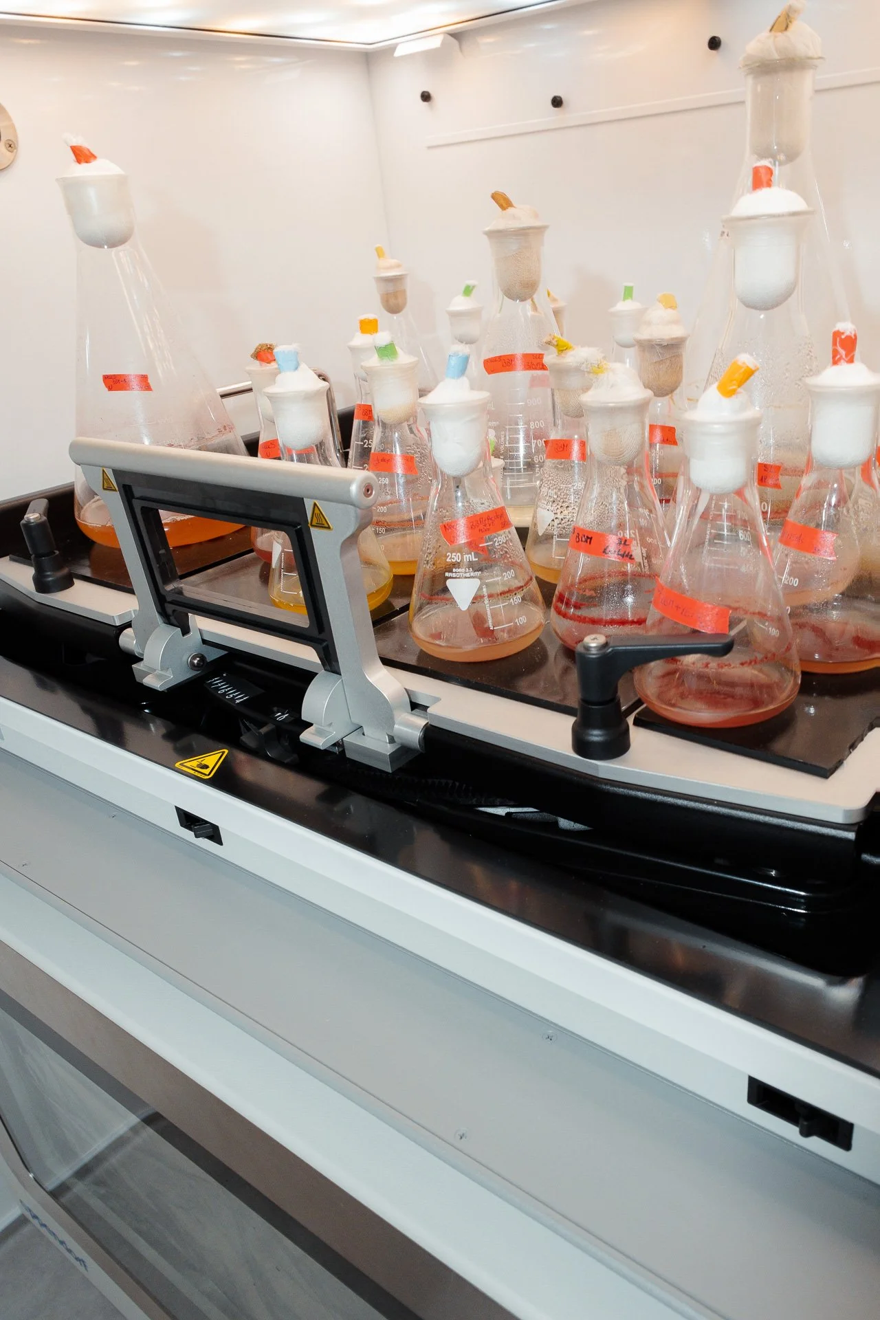 NeoEArth's production