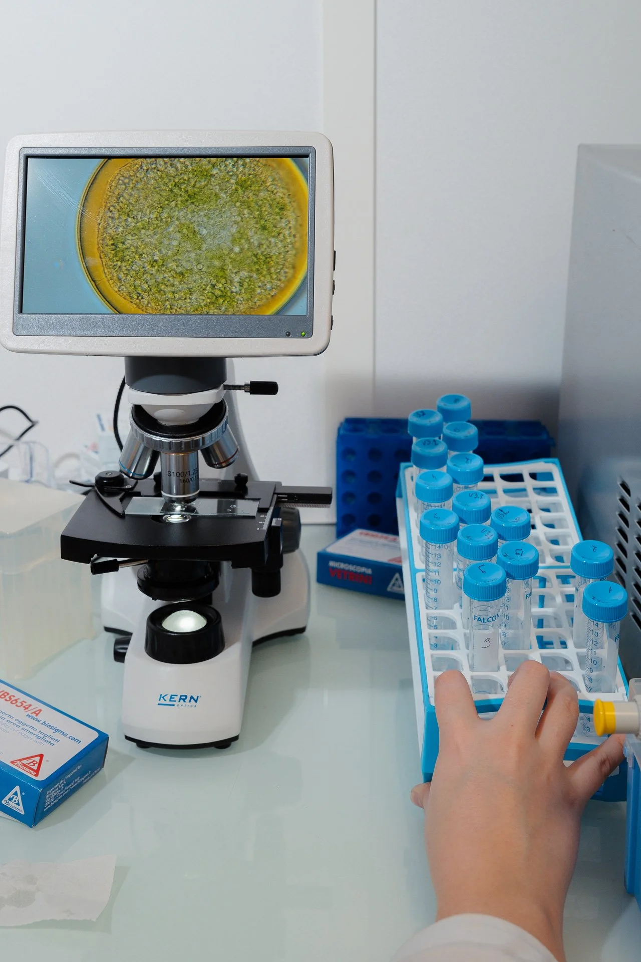 NeoEArth's production