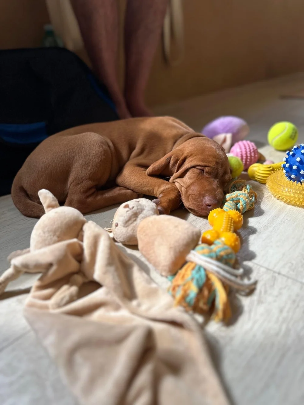 b9ee3cee-2430-4150-a615-b7dbaadc4ee8 2.JPG