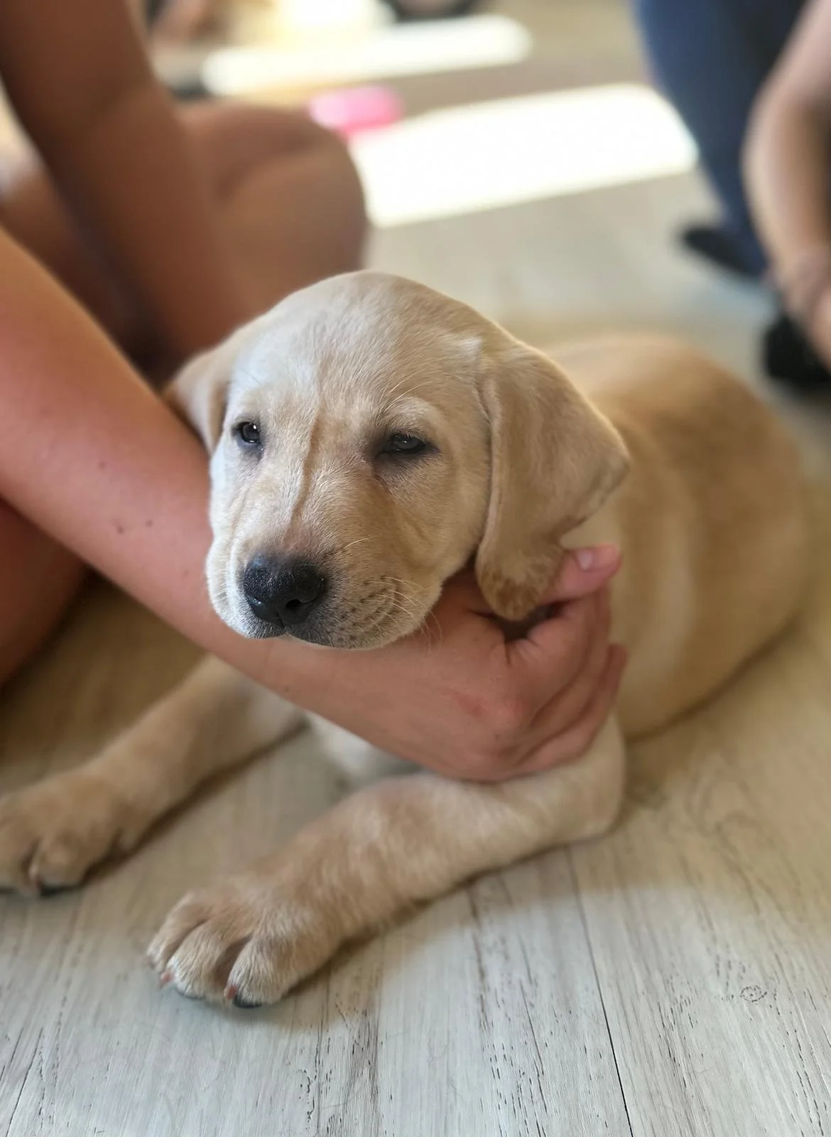 WhatsApp Image 2025-05-16 at 12.46.19.jpeg