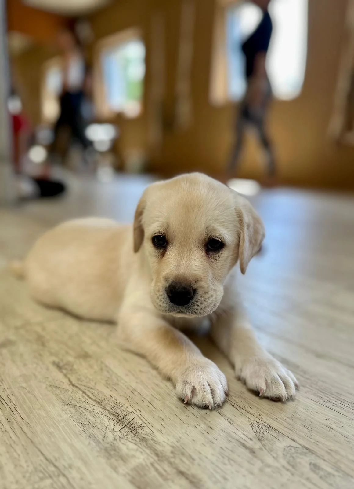 WhatsApp Image 2025-06-01 at 18.18.24 (1).jpeg