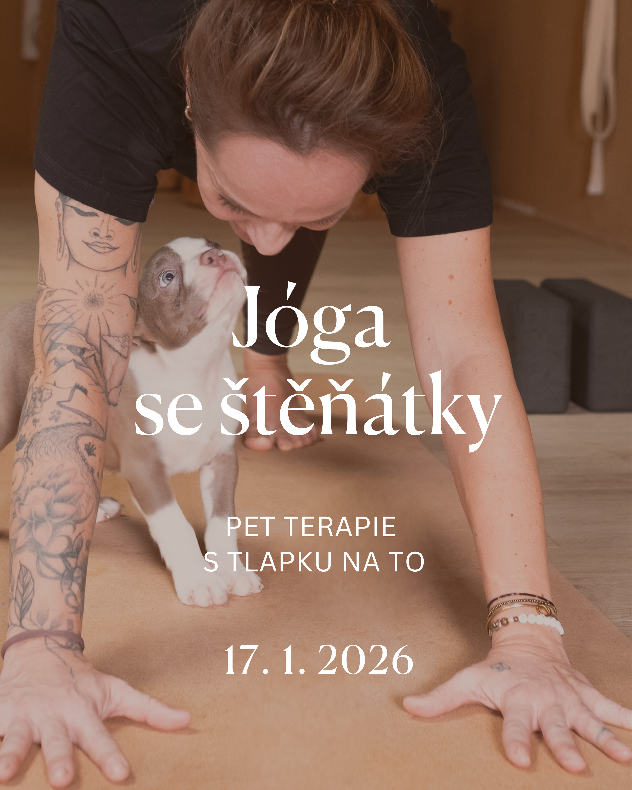 Jóga se štěňátky - pet terapie