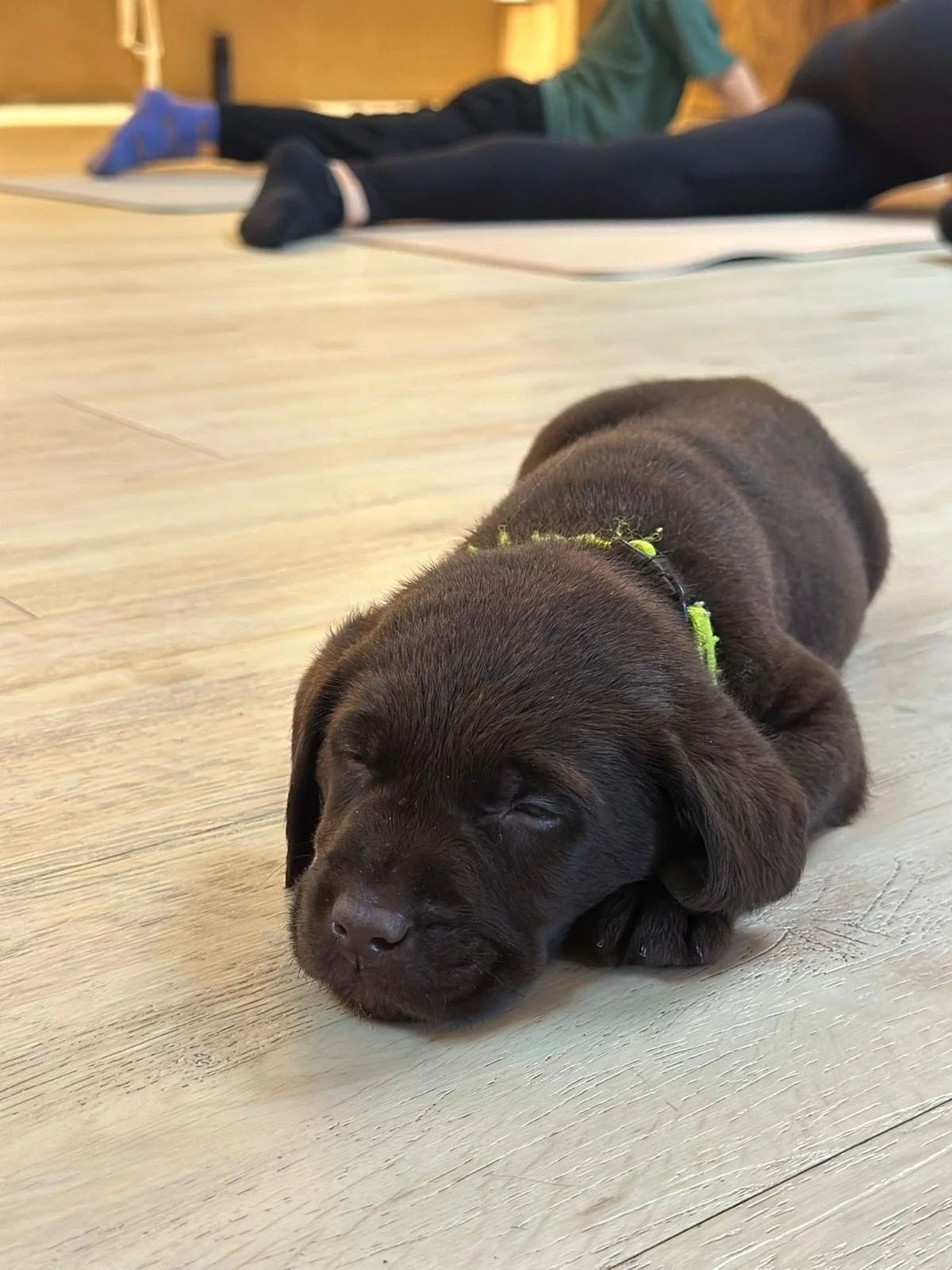 WhatsApp Image 2025-12-13 at 12.21.37.jpeg