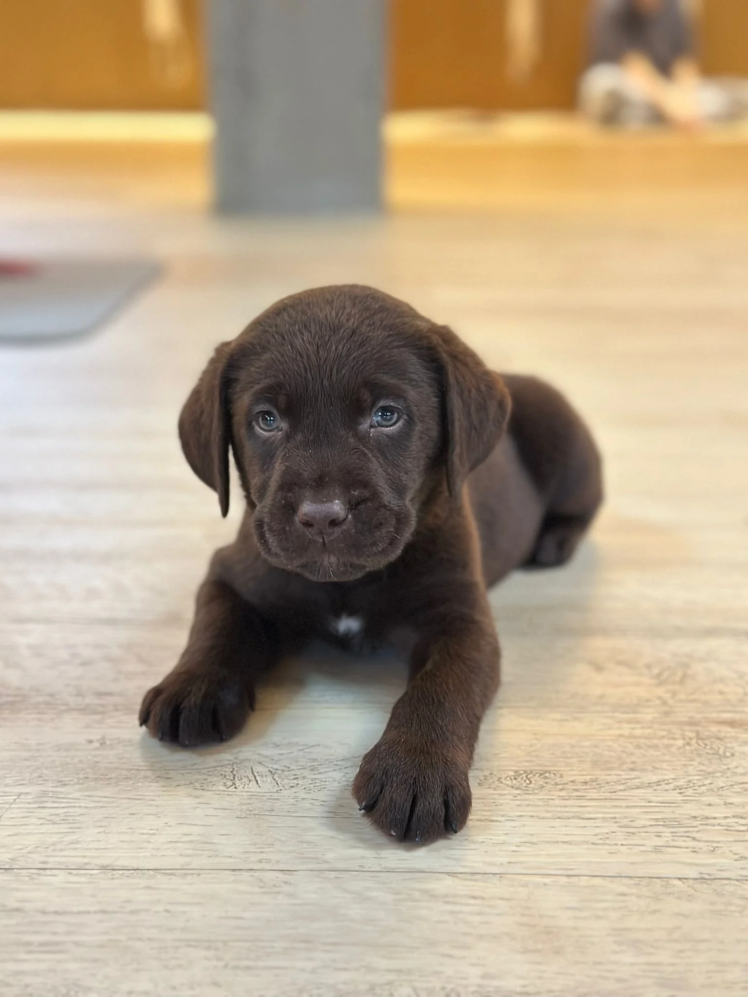 WhatsApp Image 2025-12-13 at 12.20.07 (5).jpeg