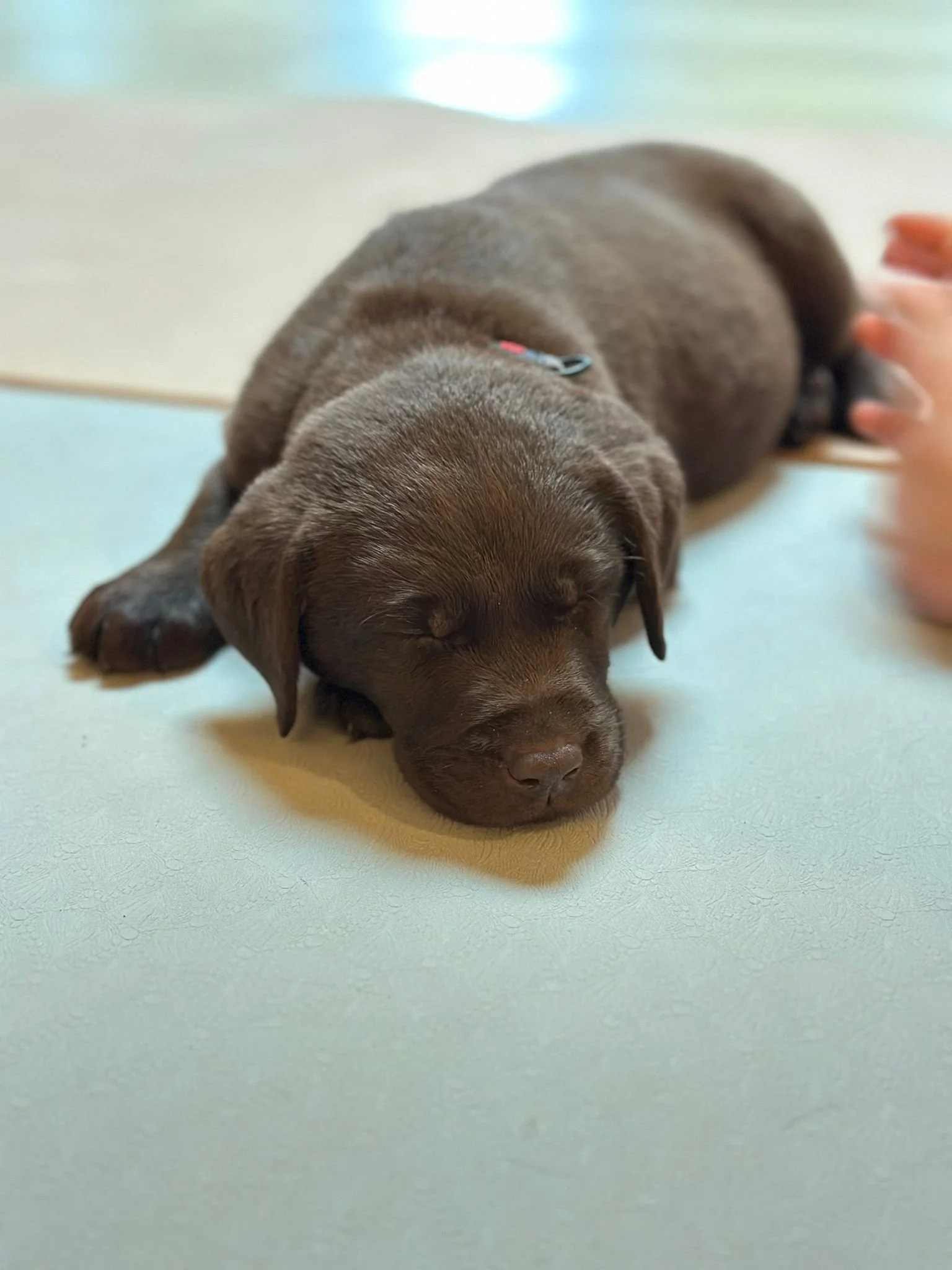 WhatsApp Image 2025-12-13 at 12.20.07.jpeg