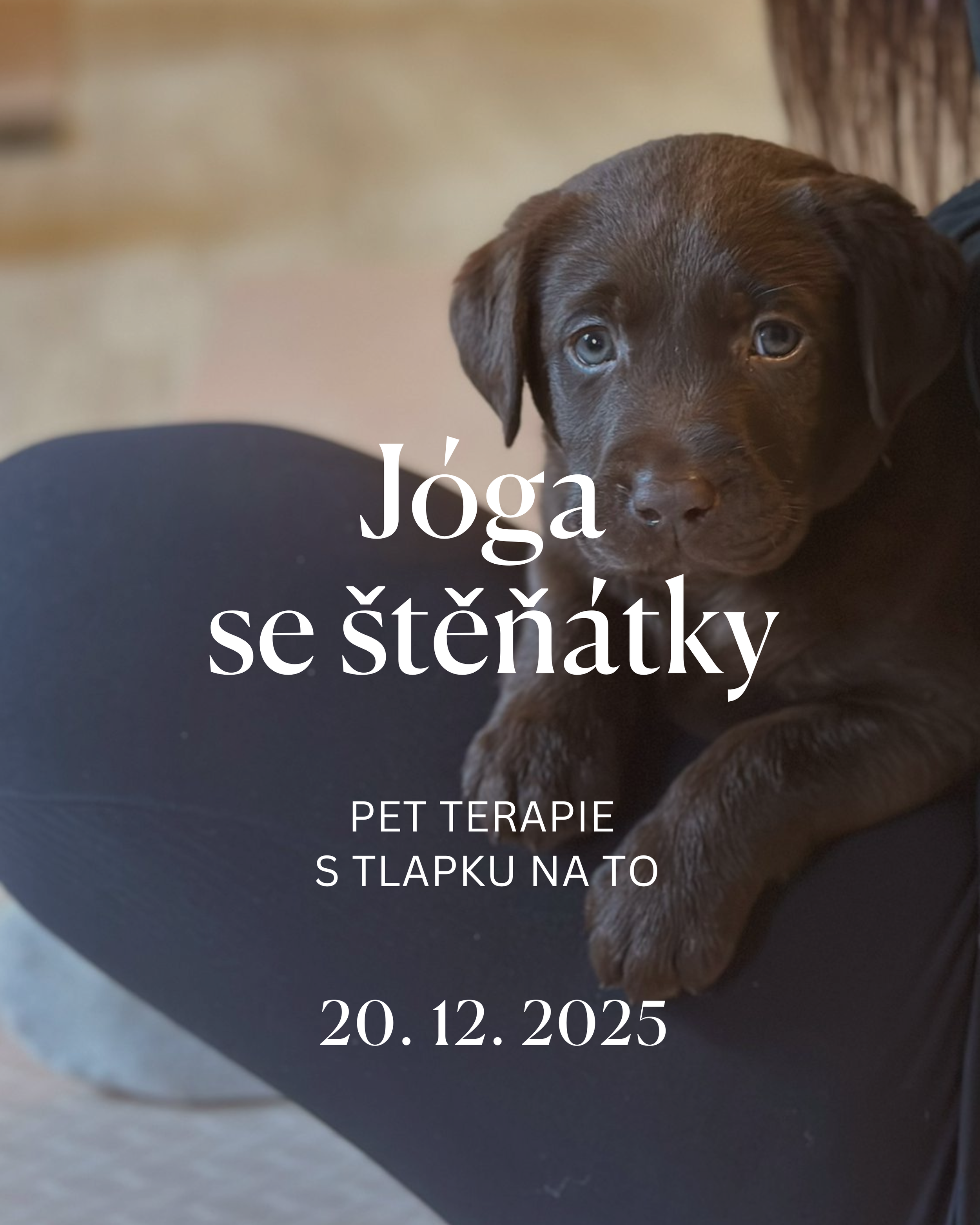 Jóga se štěňátky - pet terapie
