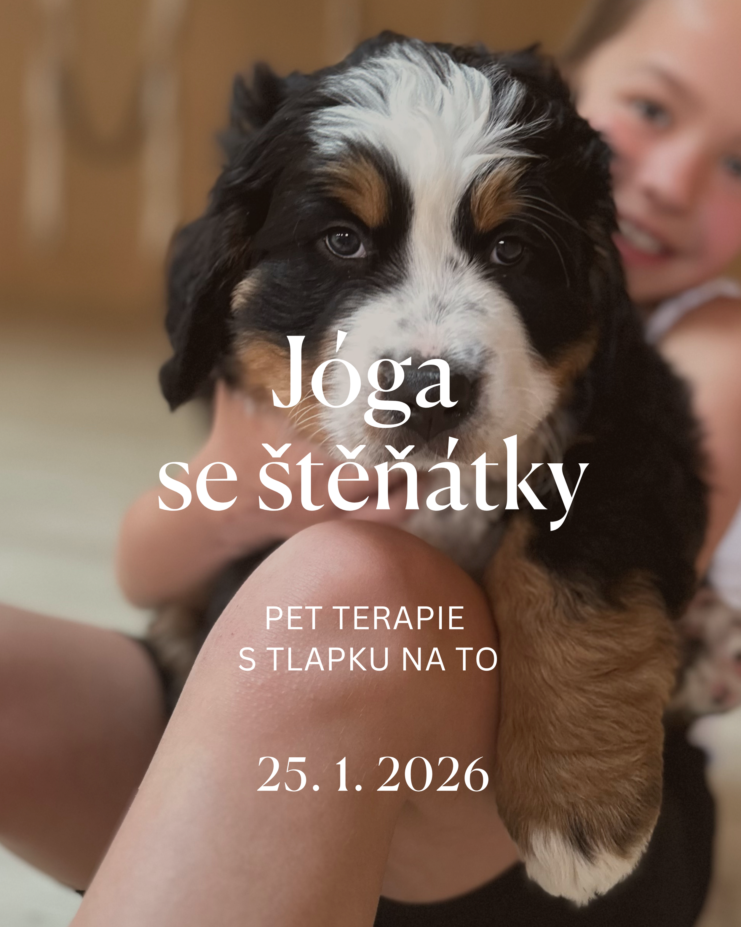Jóga se štěňátky - pet terapie