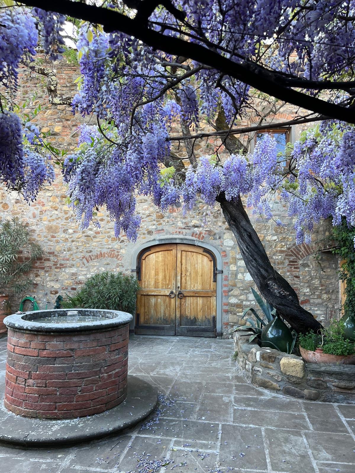 WhatsApp Image 2026-01-22 at 06.39.25 (7).jpeg