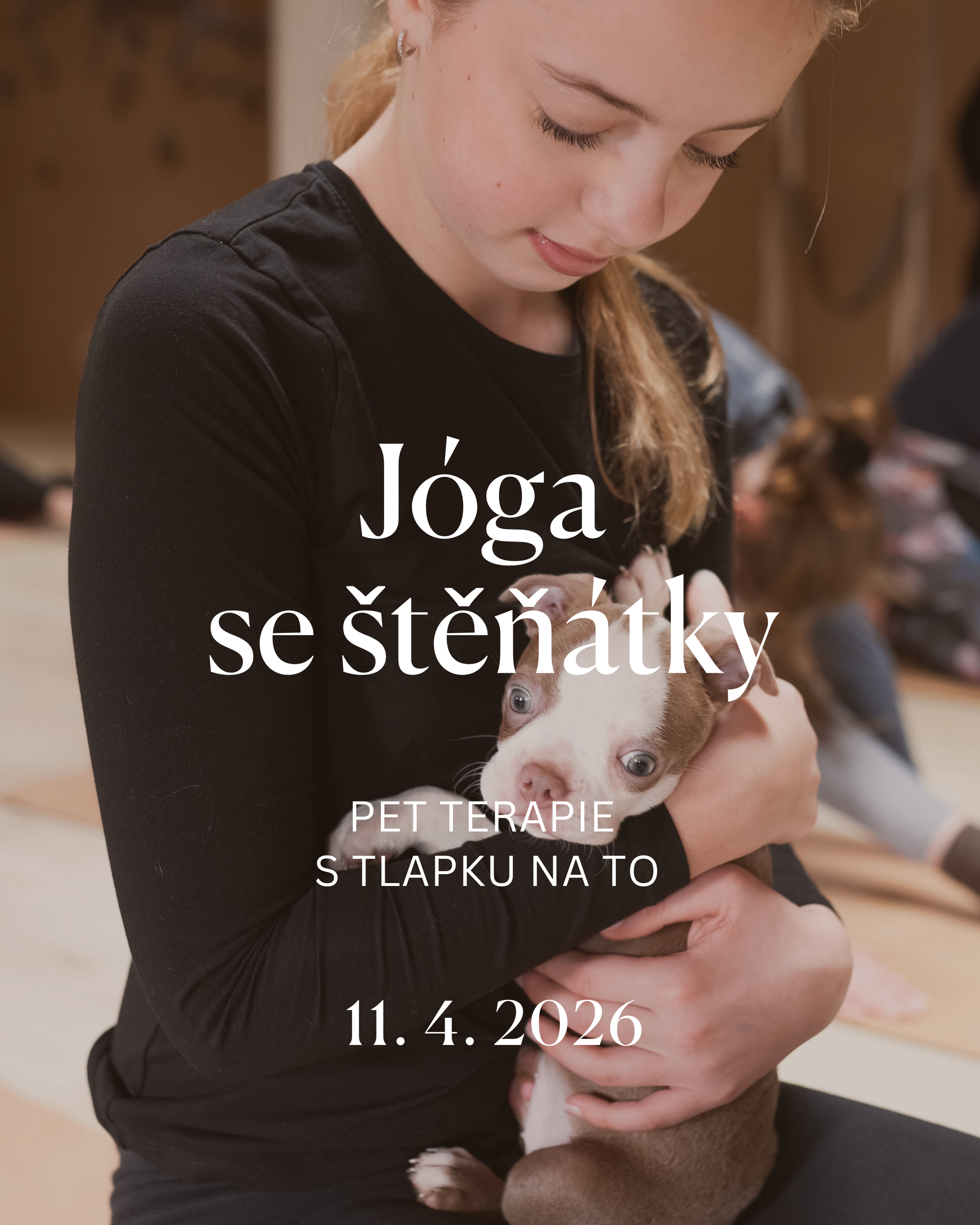 Jóga se štěňátky - pet terapie