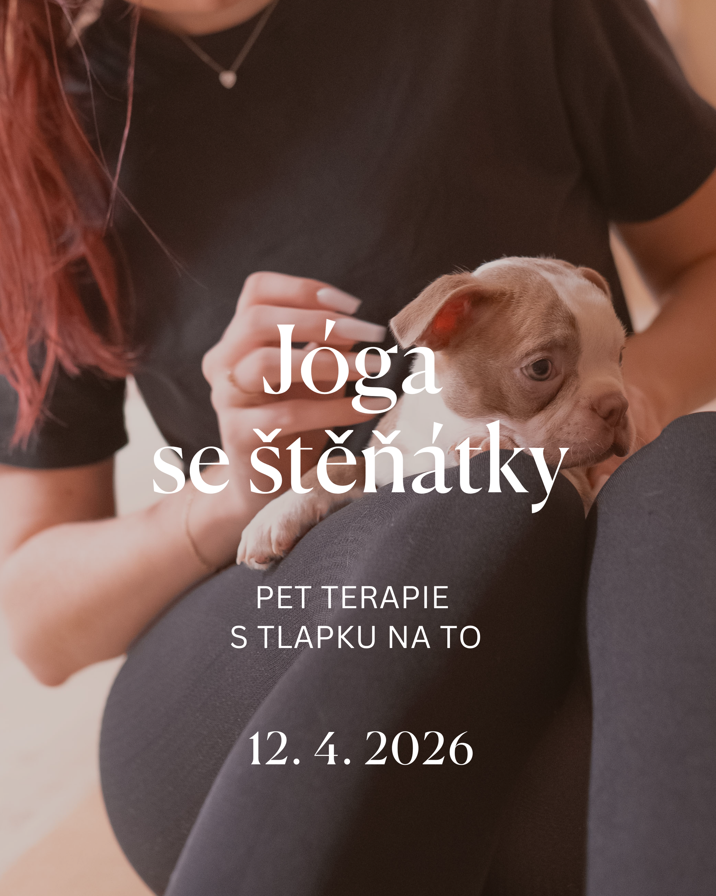 Jóga se štěňátky - pet terapie