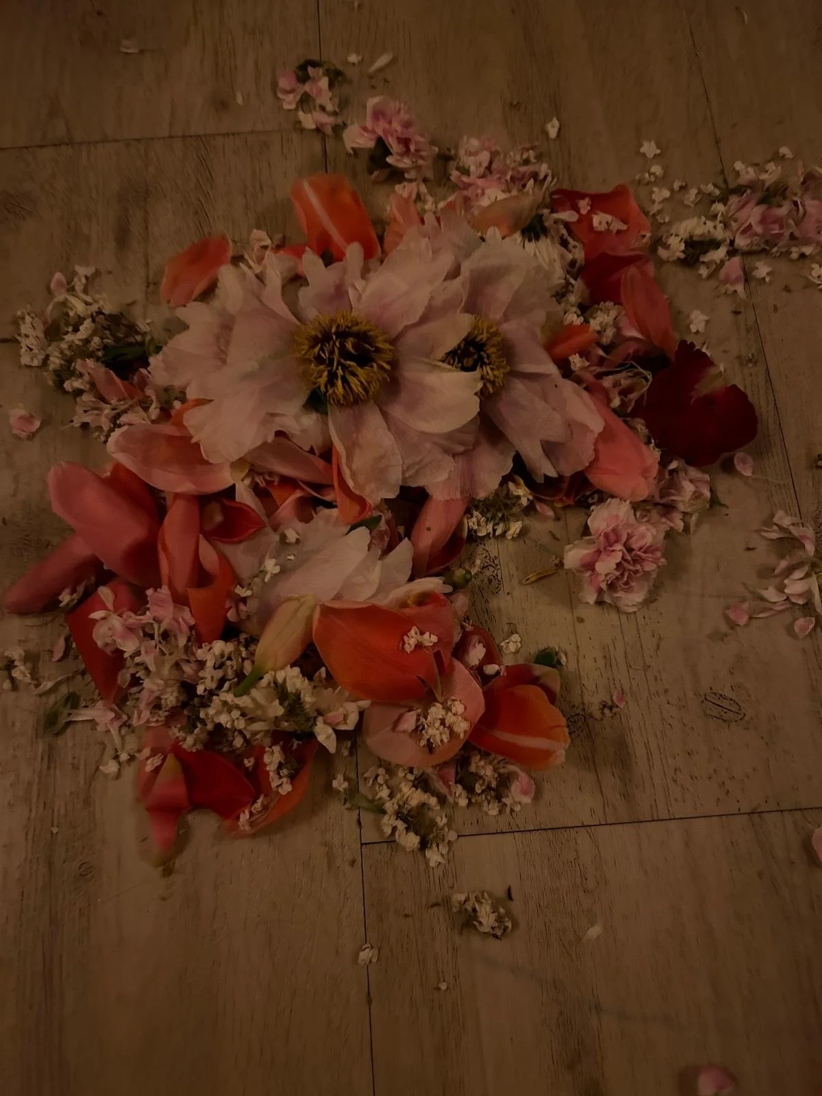 WhatsApp Image 2026-03-12 at 14.39.01.jpeg