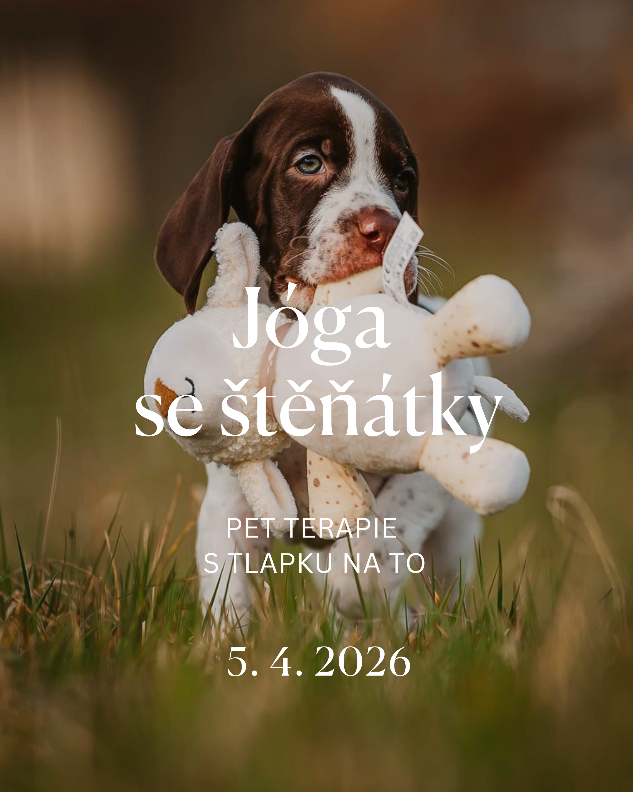 Jóga se štěňátky - pet terapie