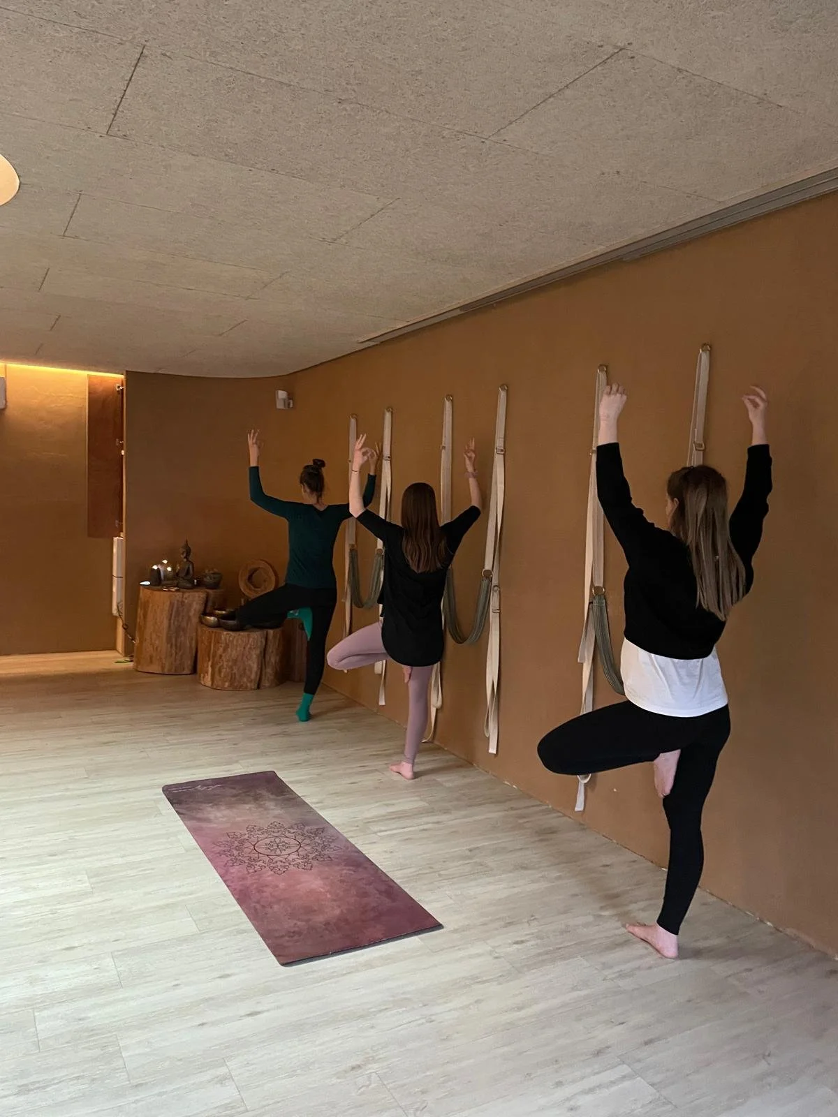 WhatsApp Image 2026-03-26 at 10.16.04 (12).jpeg