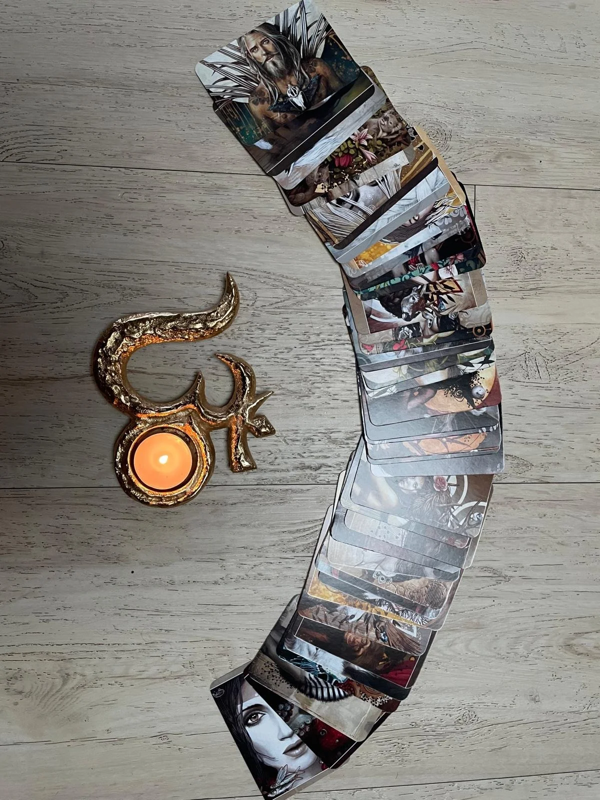 WhatsApp Image 2026-03-26 at 10.16.04 (14).jpeg