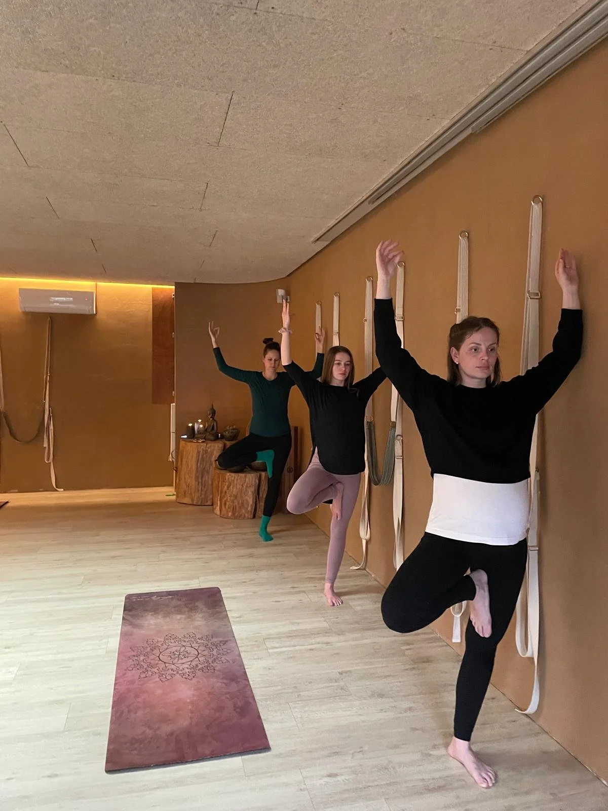 WhatsApp Image 2026-03-26 at 10.16.04 (13).jpeg