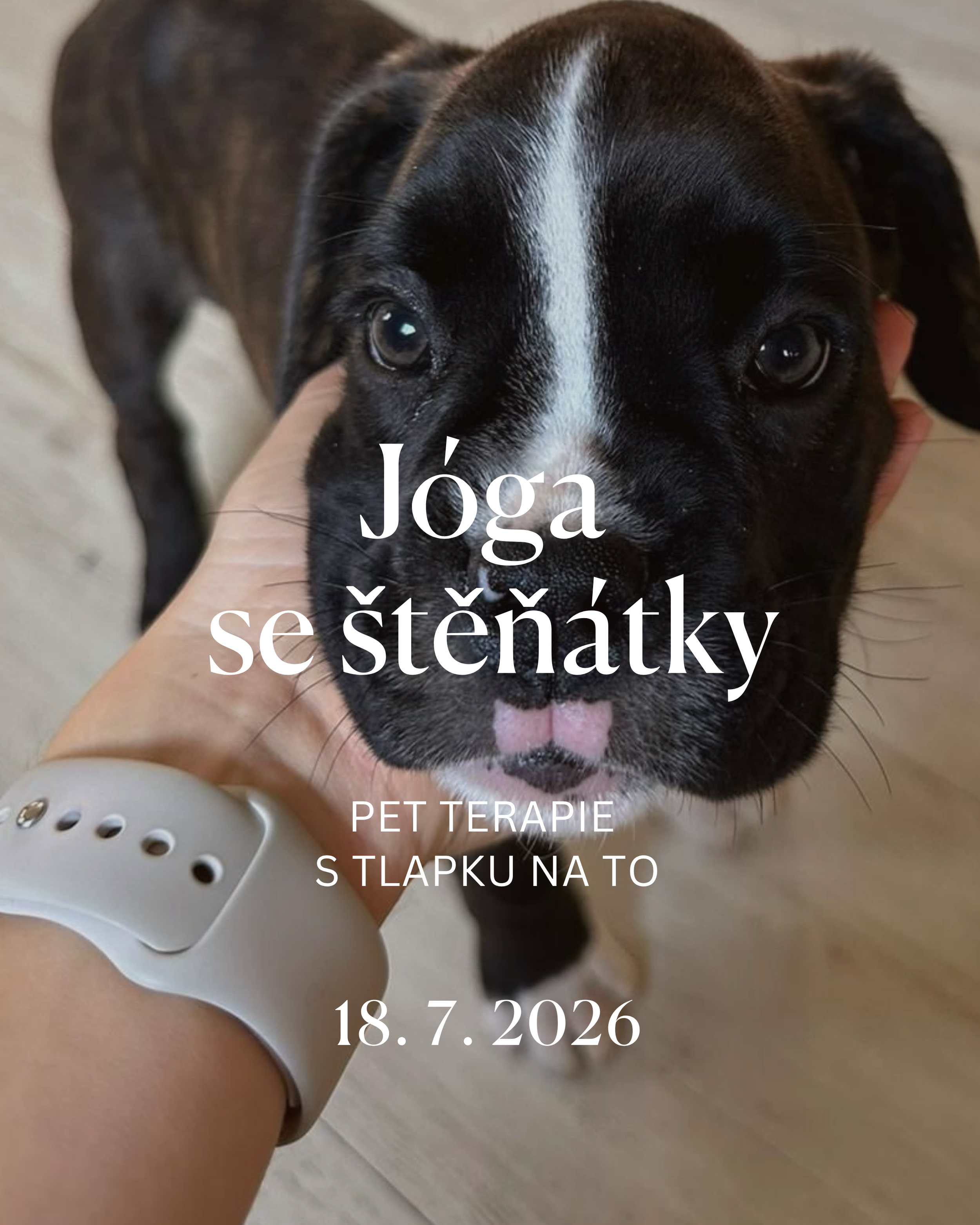 Jóga se štěňátky - pet terapie