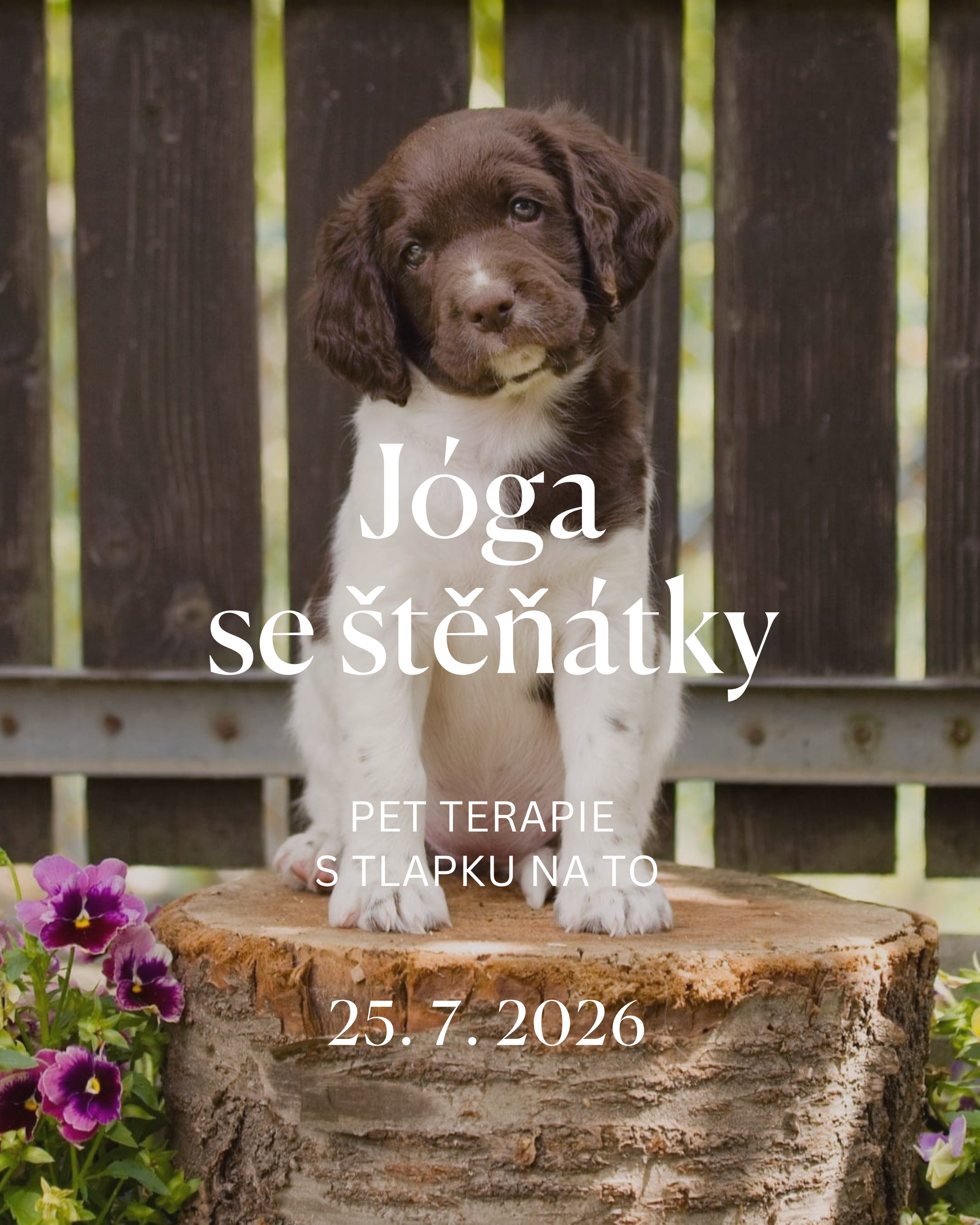 Jóga se štěňátky - pet terapie
