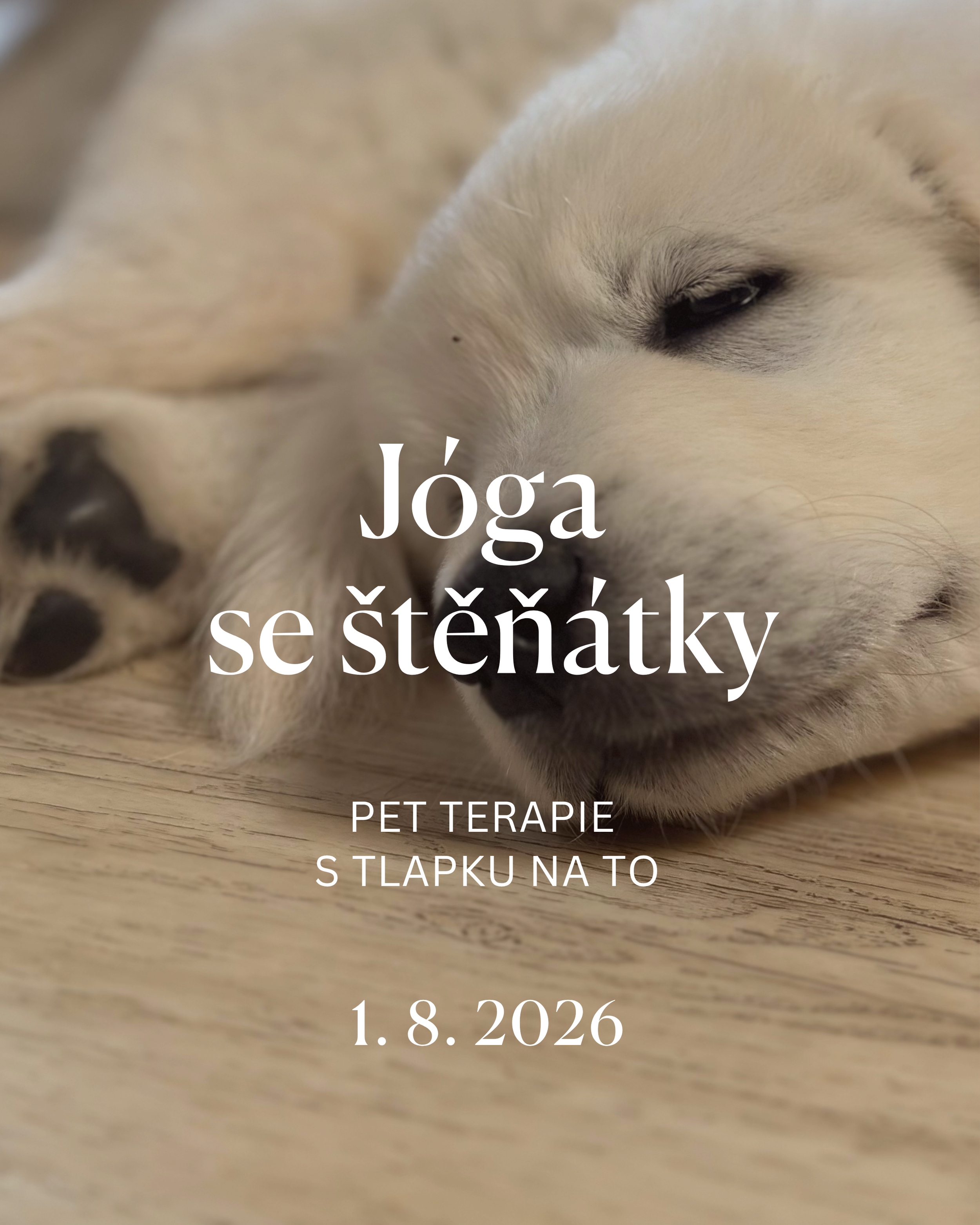 Jóga se štěňátky - pet terapie
