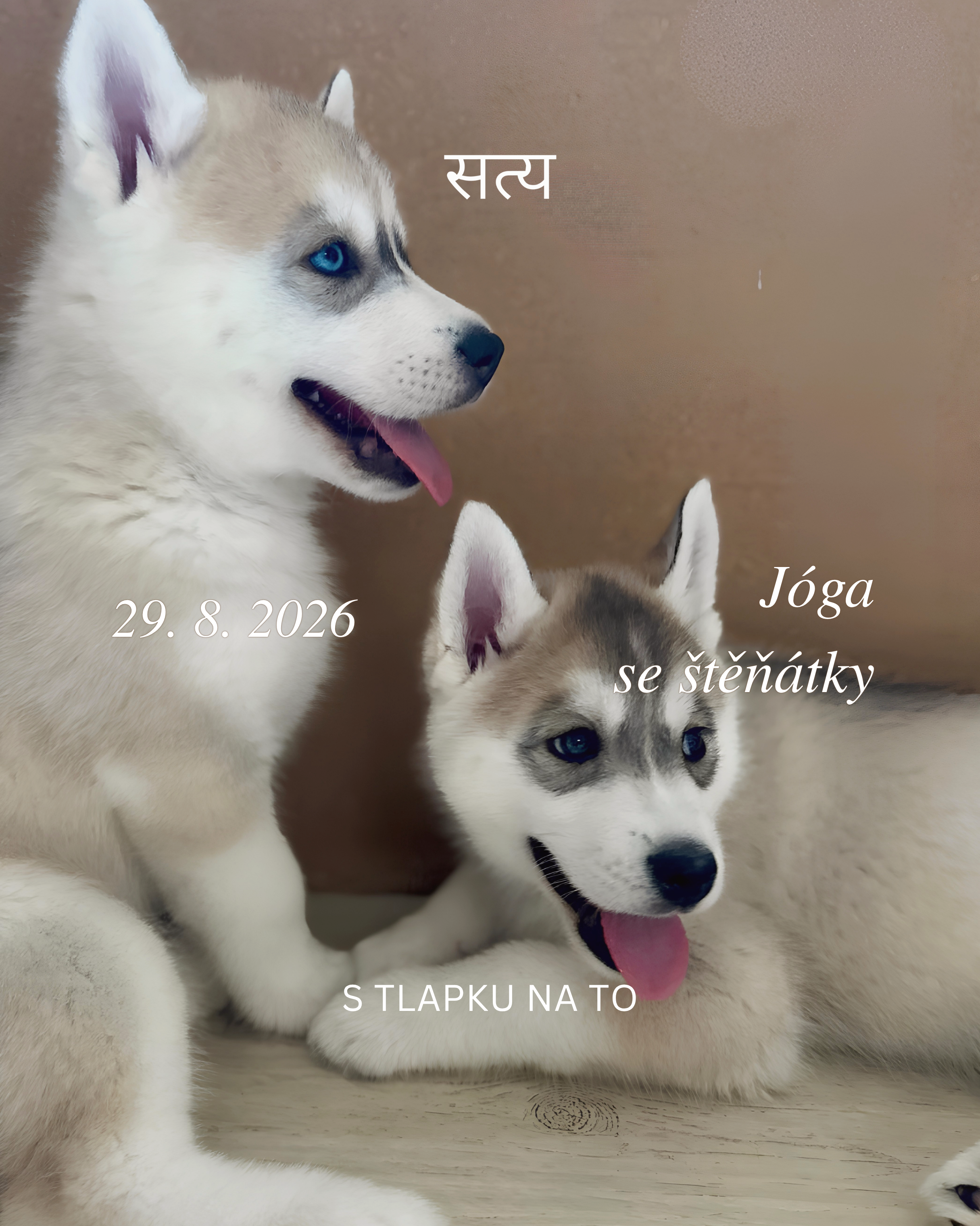 Jóga se štěňátky - pet terapie